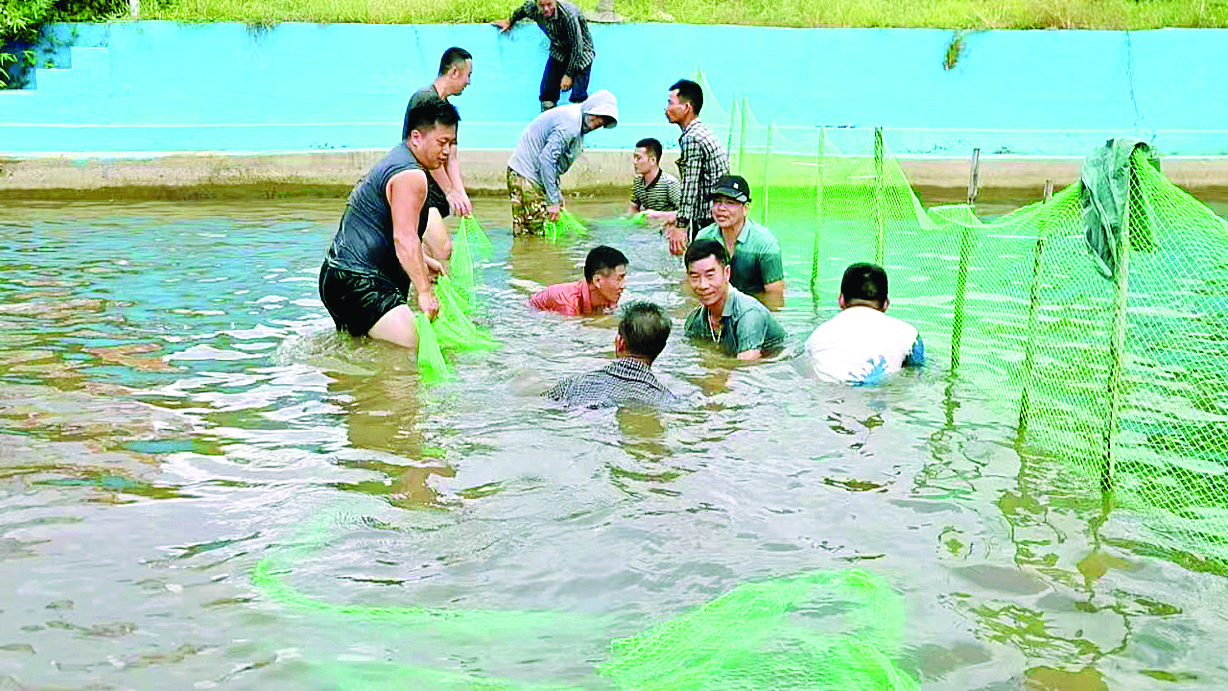     村民体验摸鱼乐趣。惠州日报记者赖金朗 通讯员马观英 摄