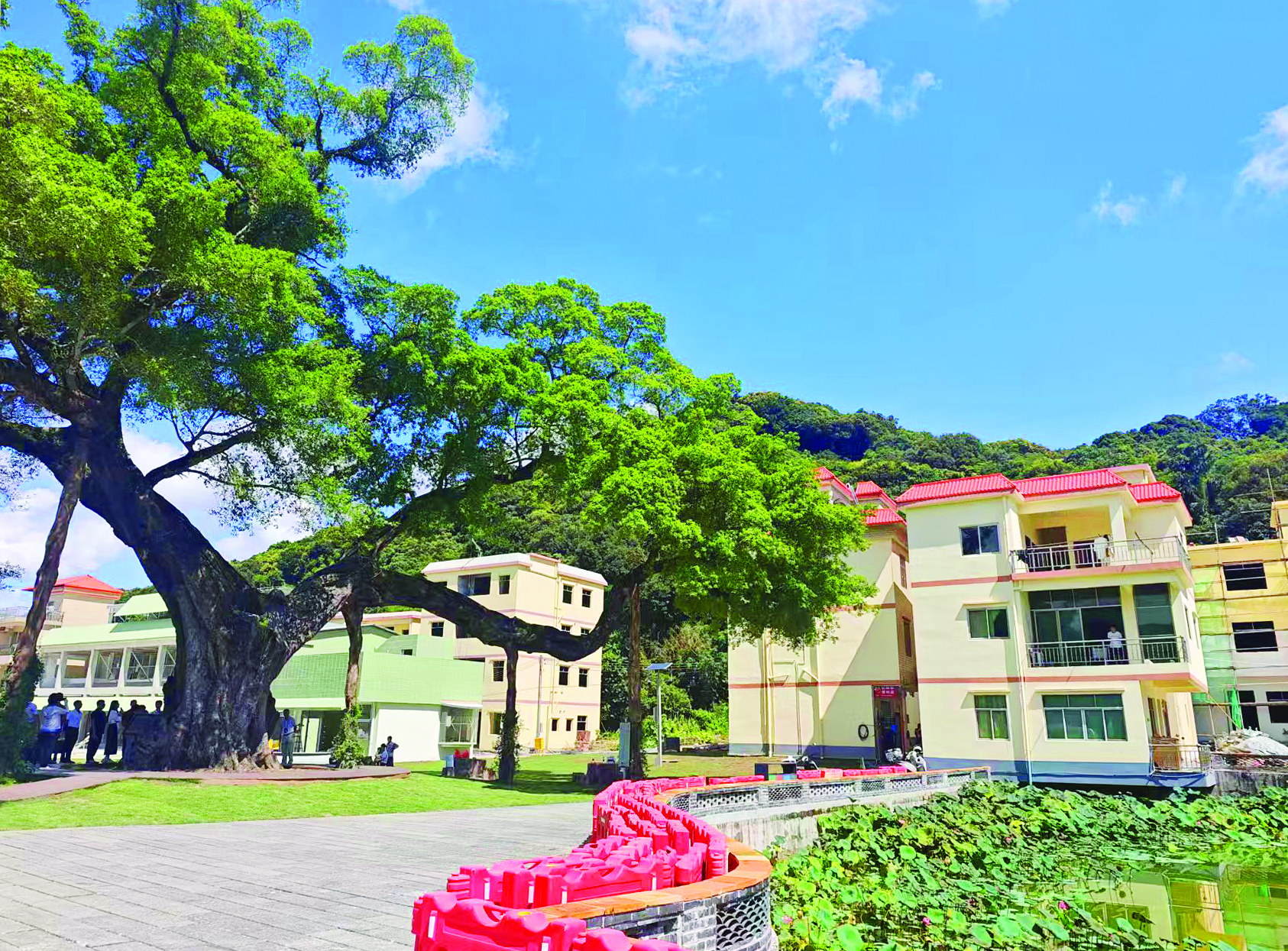     在龙门县麻榨镇中心村，黄墙橙瓦的驿站与千年榕树相映成趣。惠州日报记者游璇钰 摄