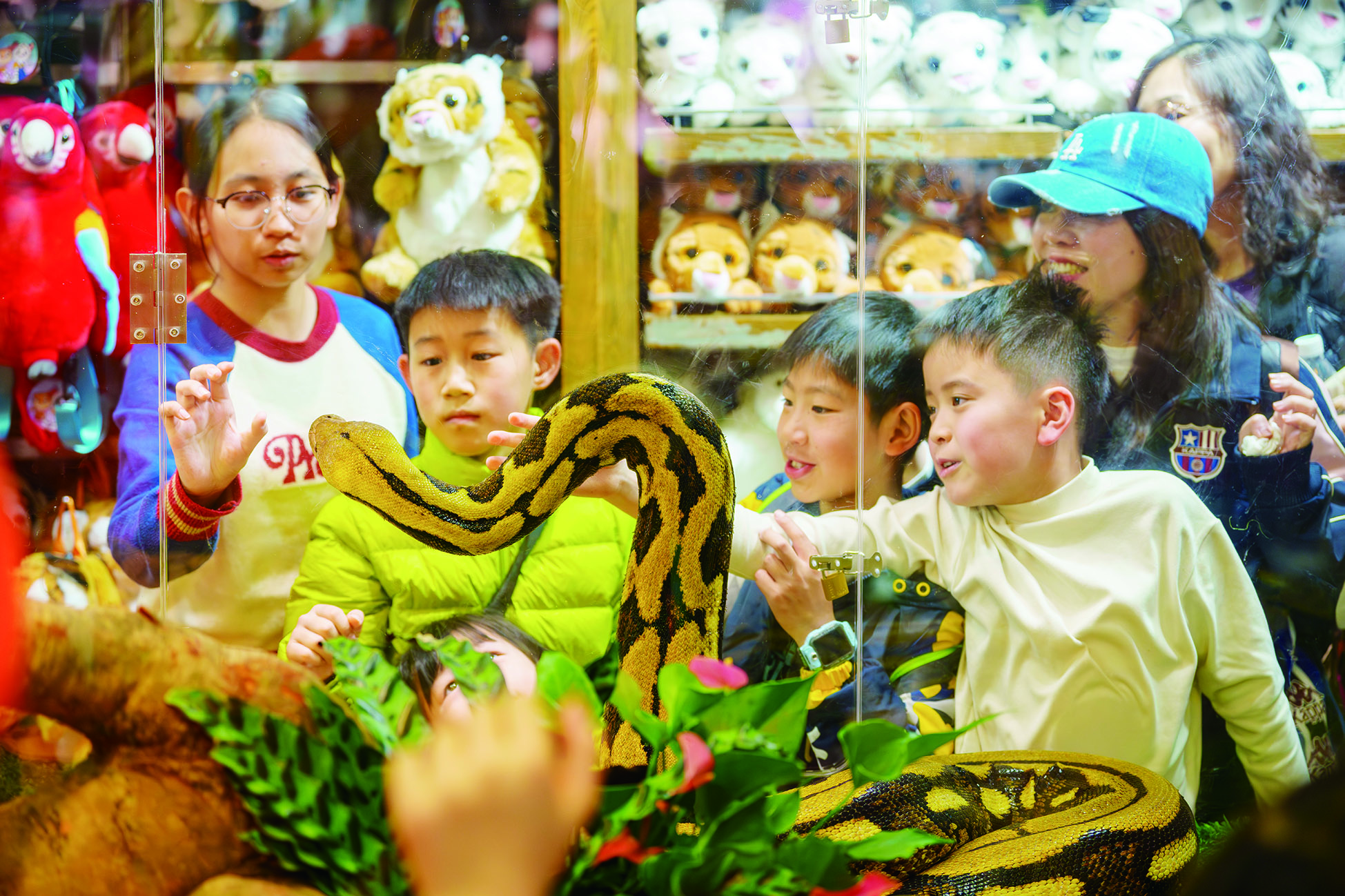     在广州长隆动物世界享受亲子欢乐。