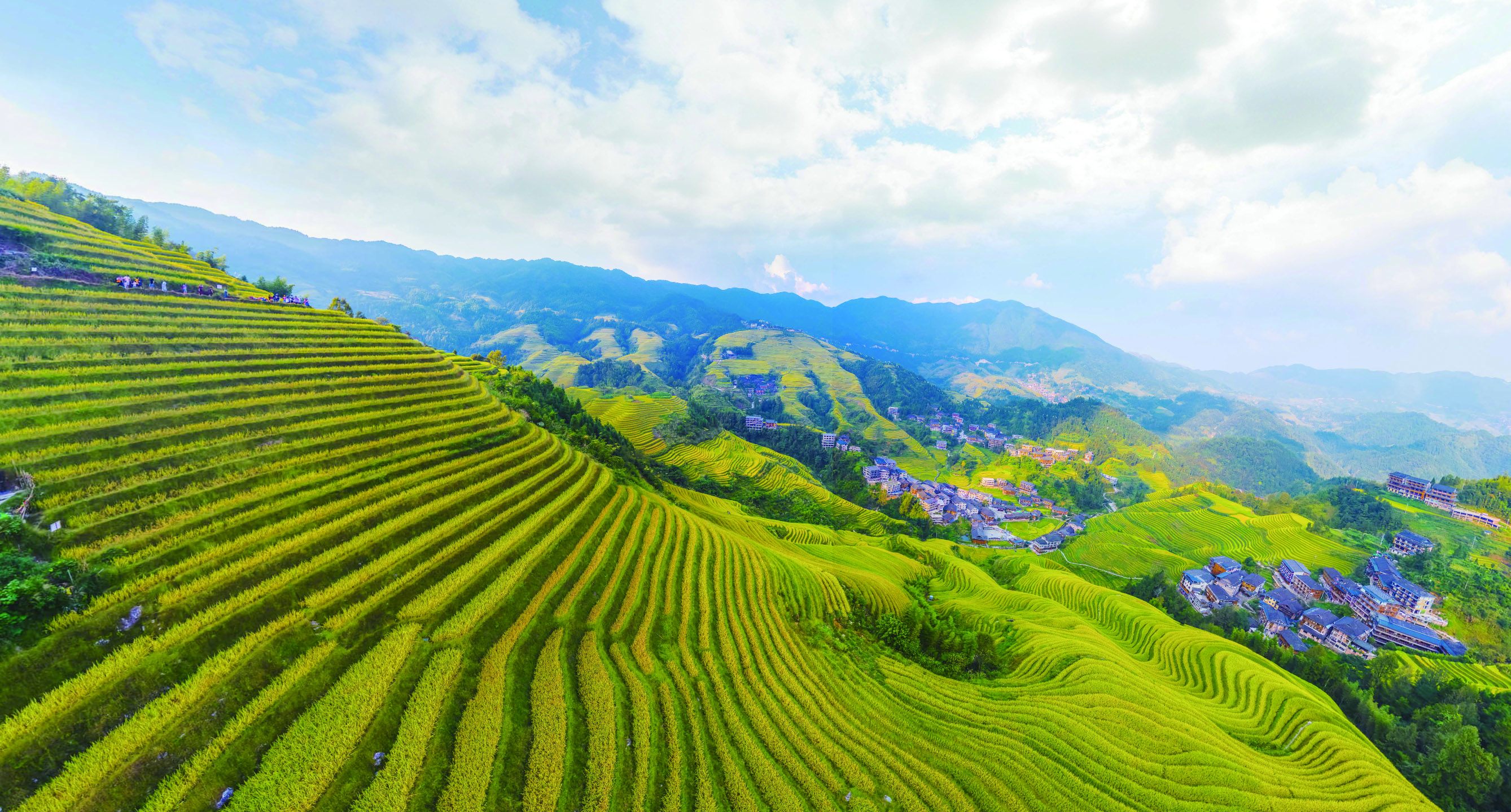     广西龙脊梯田正值金秋最佳观赏期。