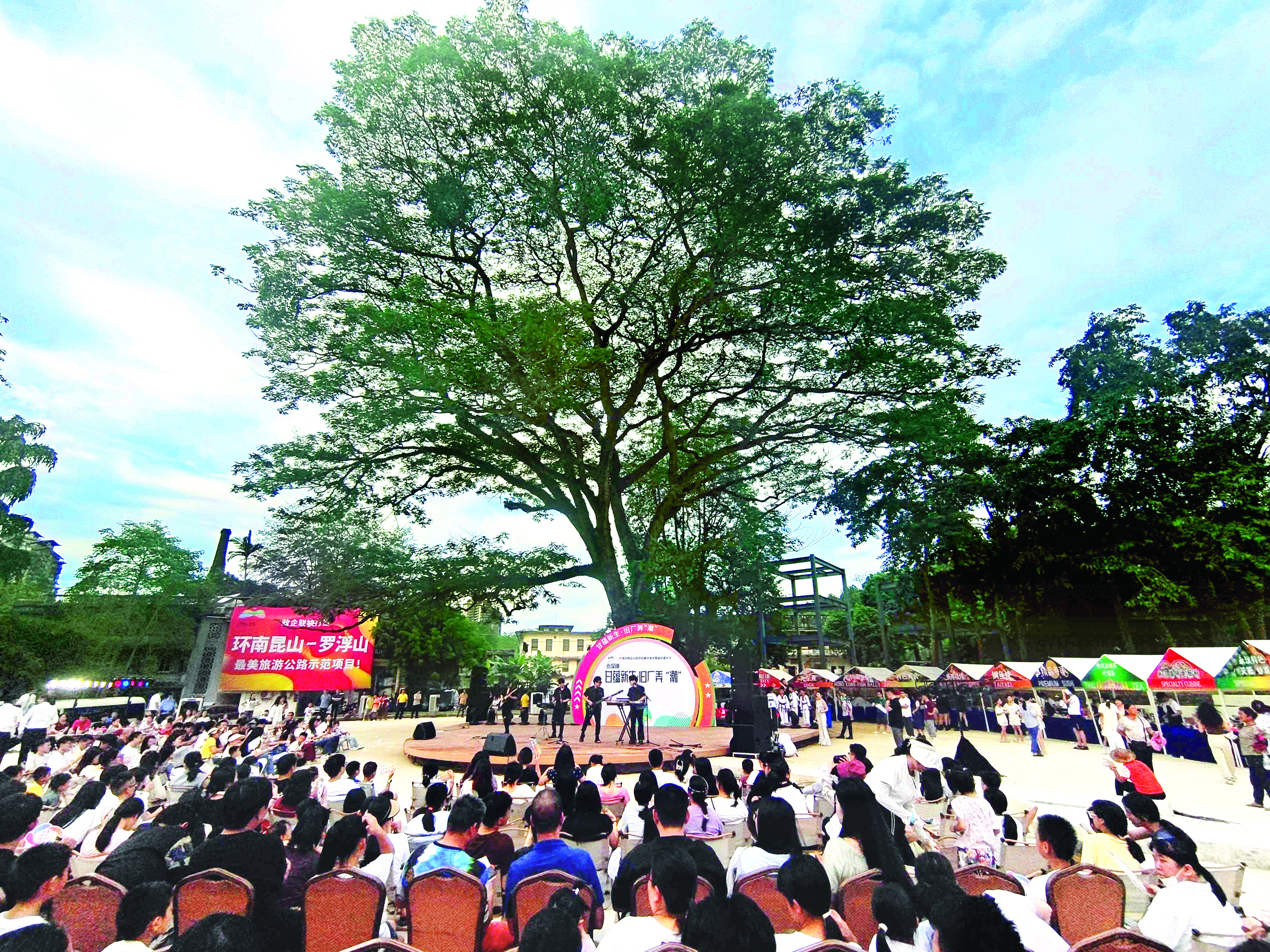     龙门县永汉镇甘化厂古榕树下，一场欢快的音乐会吸引众多游客围观。惠州日报记者李松权 摄