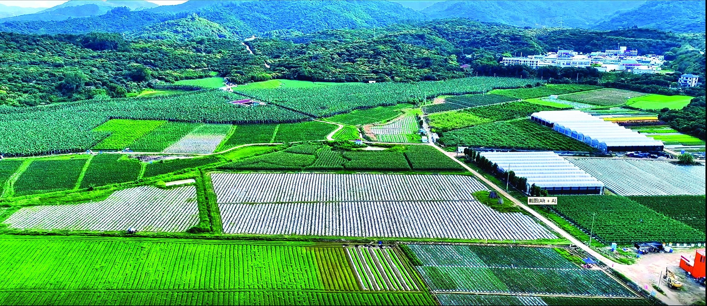     企岭村田园风光。