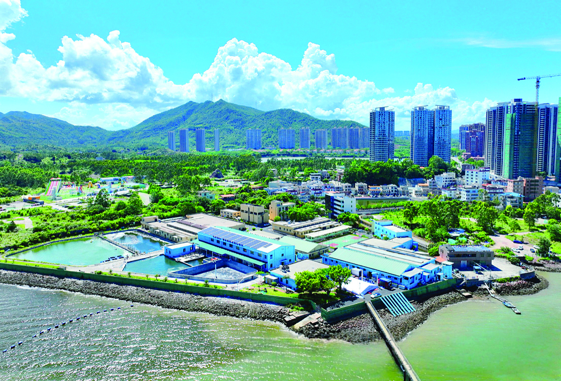     位于大亚湾的广东省农业技术推广中心海洋渔业试验基地。