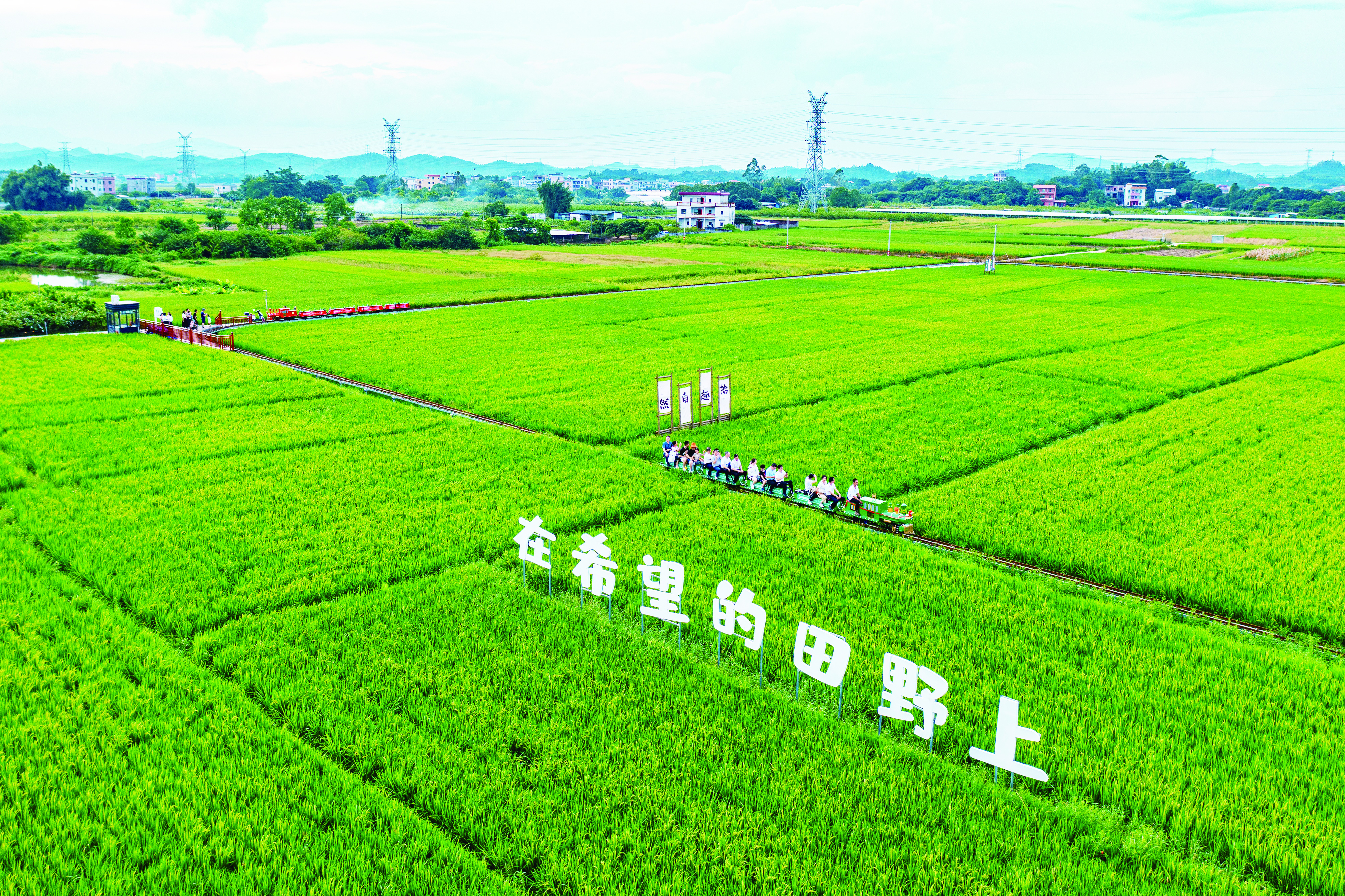    在墨园村坐小火车。