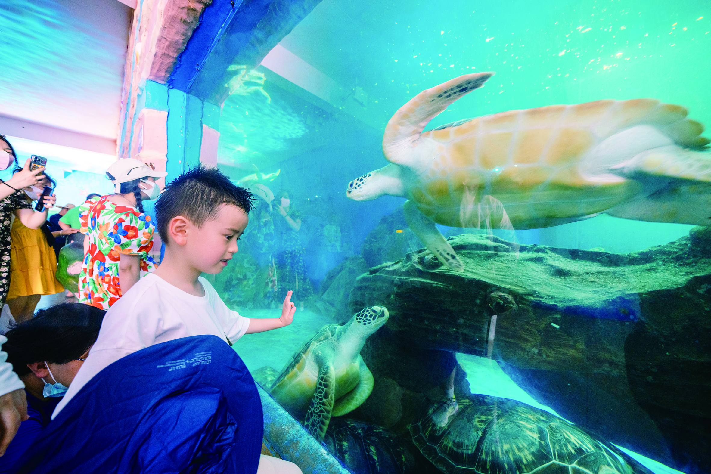     与海龟亲密互动。