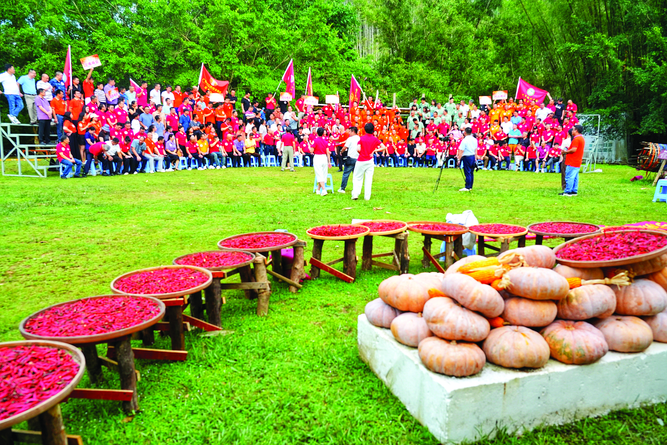     在“山里头农场”，一场别开生面的丰收艺术季正在上演。