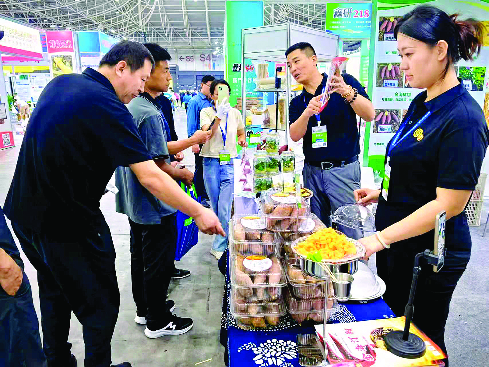     种子“双交会”现场，来自山东的甘薯种企正在线上线下同步推介种子。    本组图片 新华社发