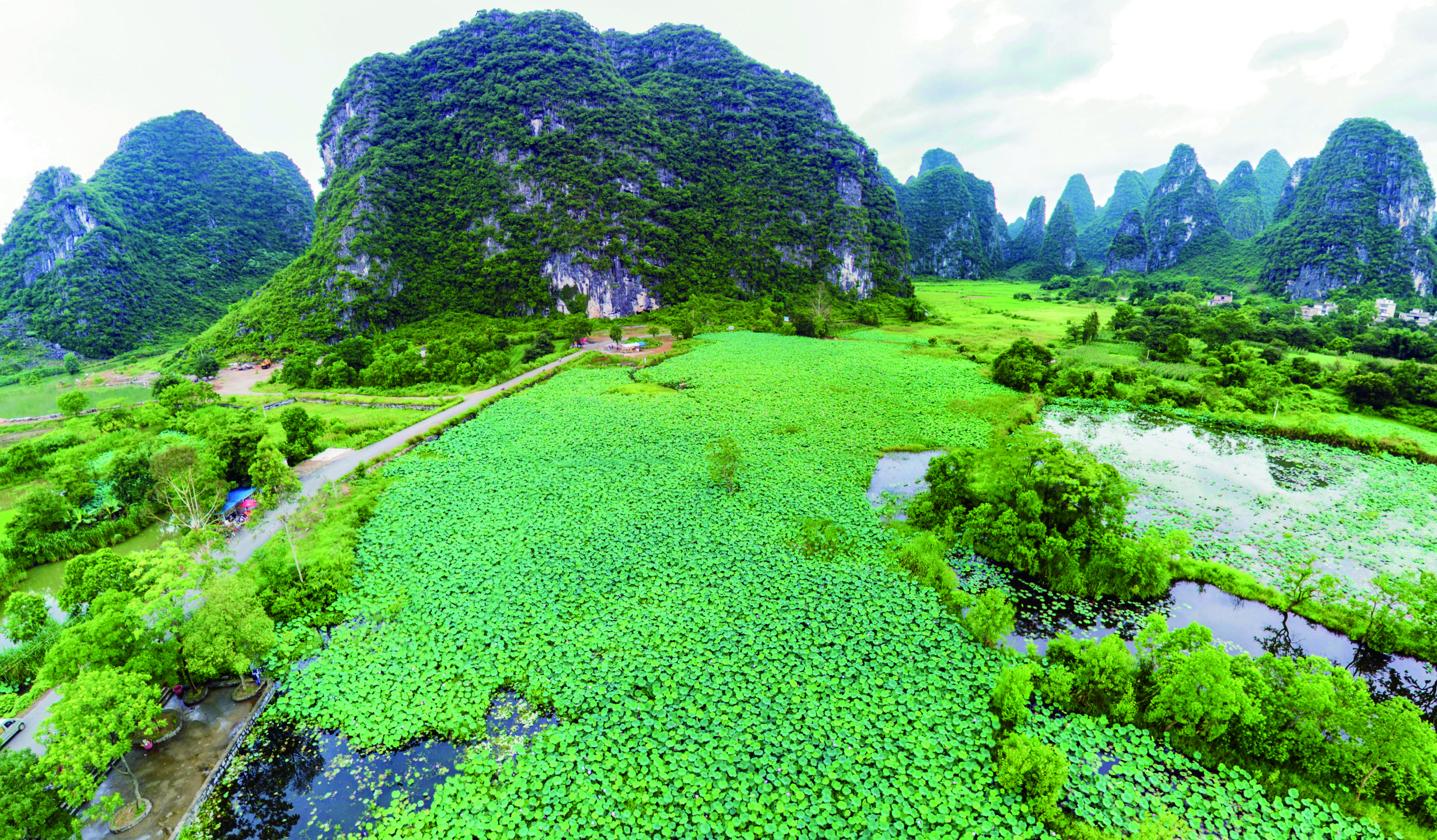     漫步荷塘村仿佛走进“世外桃源”。