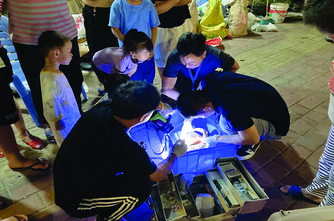     现场救助受伤的中华穿山甲。