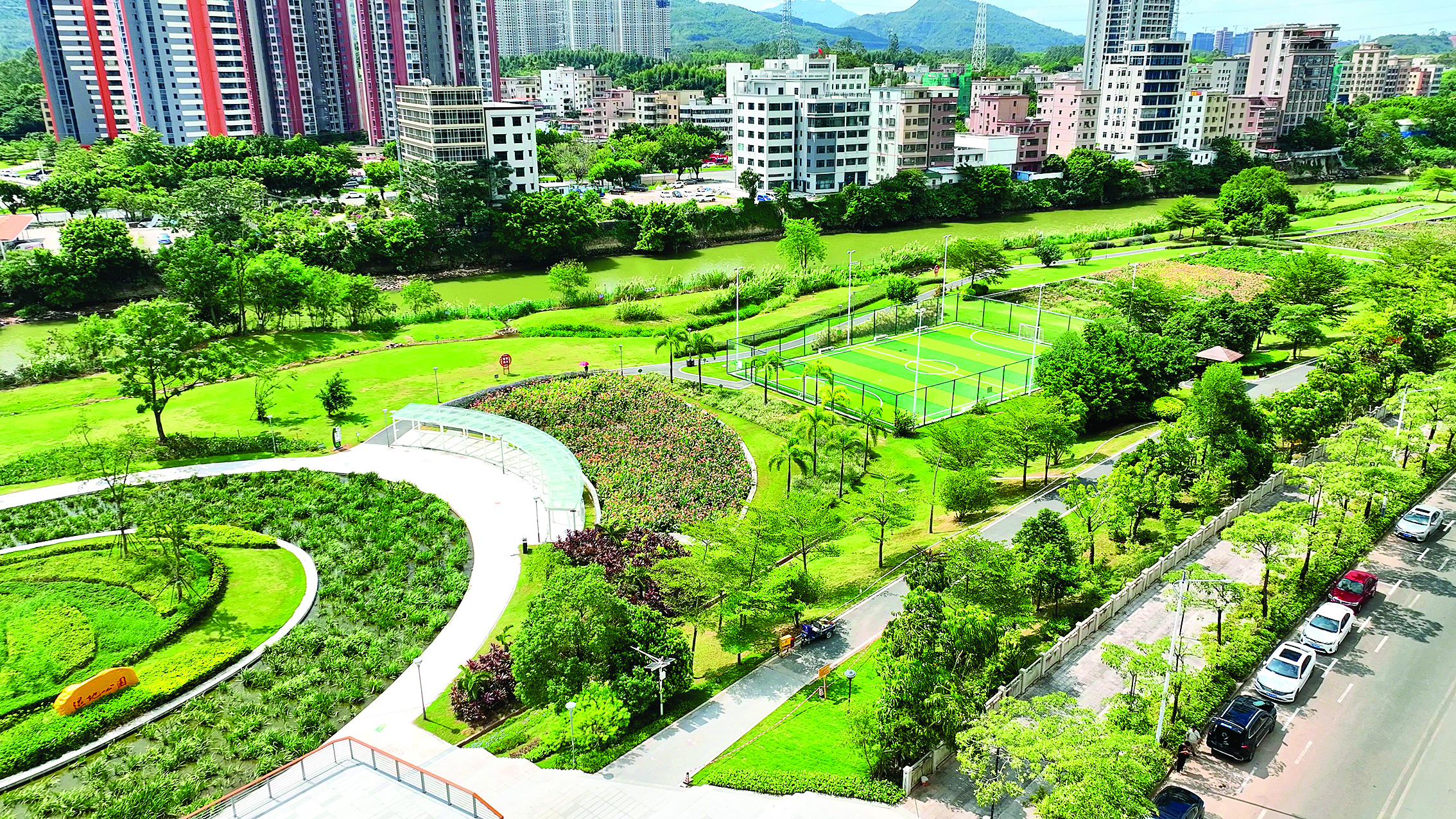     淡澳河生态走廊之淡澳河生态湿地公园。惠州日报记者黄旭新 摄
