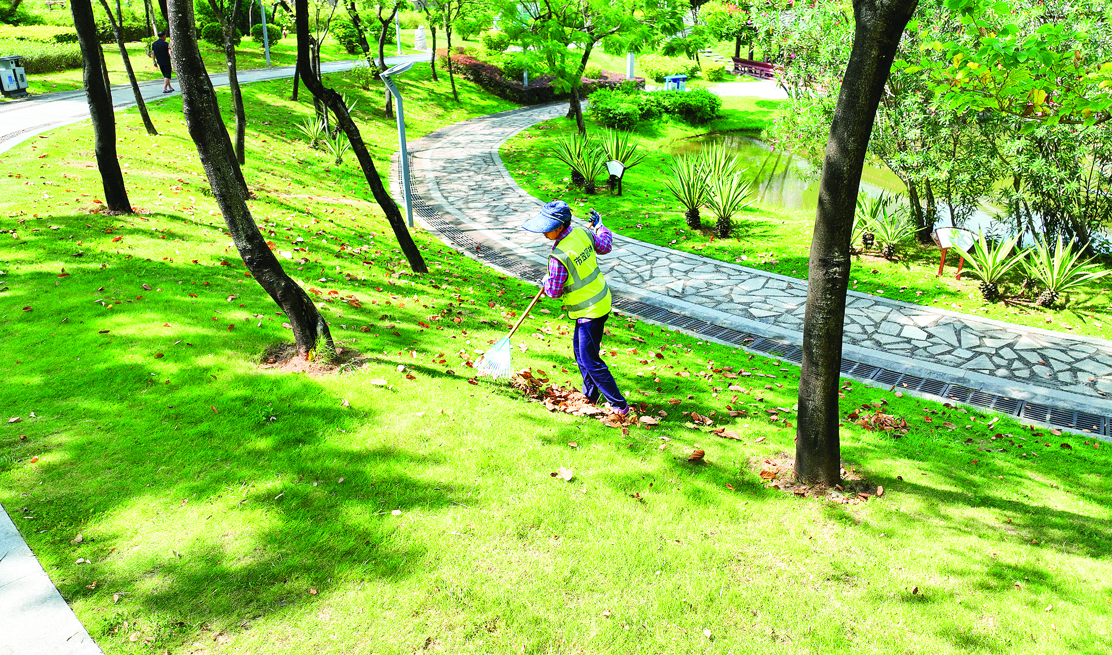 <p>    在新湖公园，工人在清扫绿化垃圾。</p>