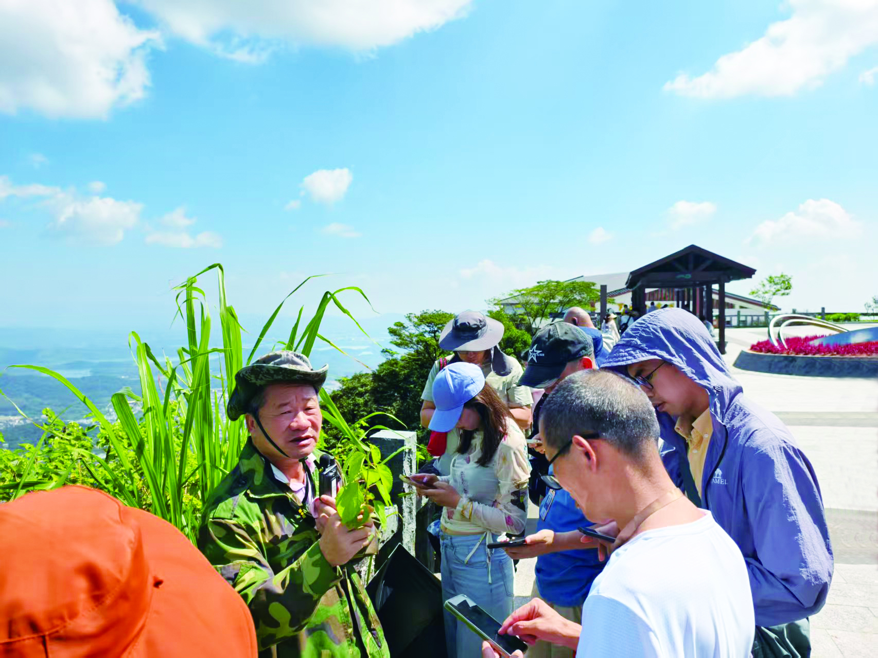     周天来（左一）给大家展示植物样本。