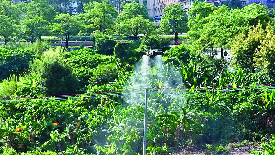     无人机在开展药剂喷洒作业。平山街道办提供