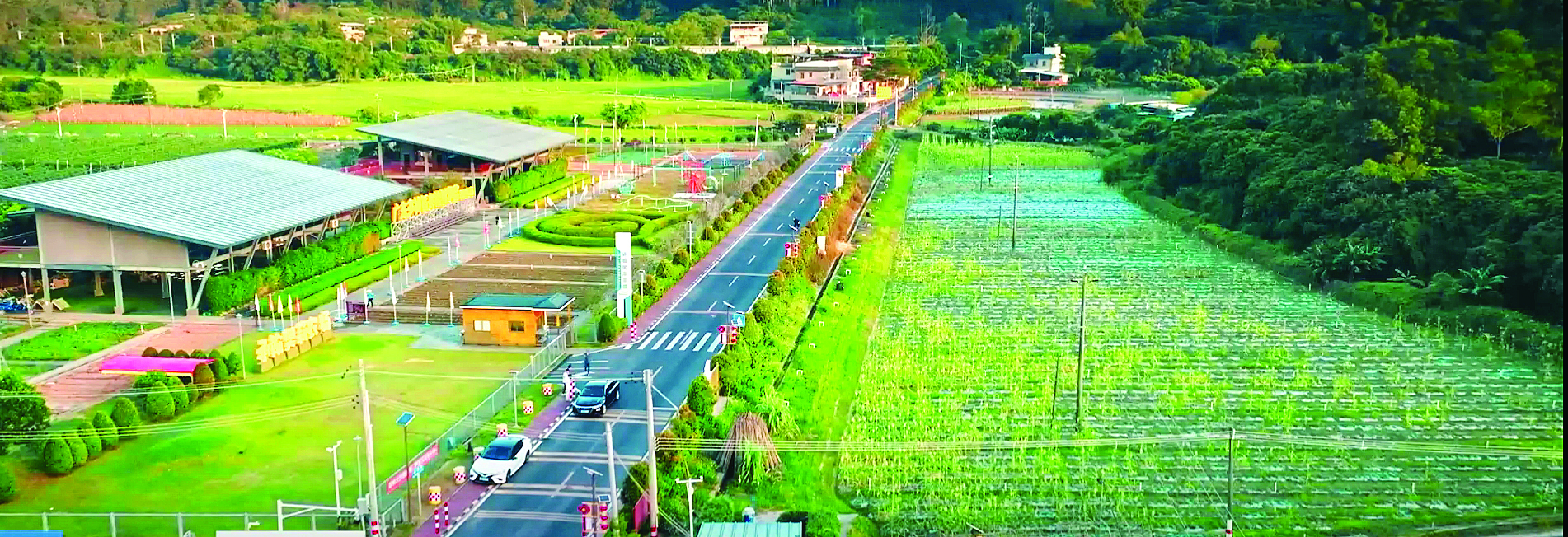     陈江街道幸福村幸福路获评惠州市十大“最美农村路”。    惠州东江图片社供图