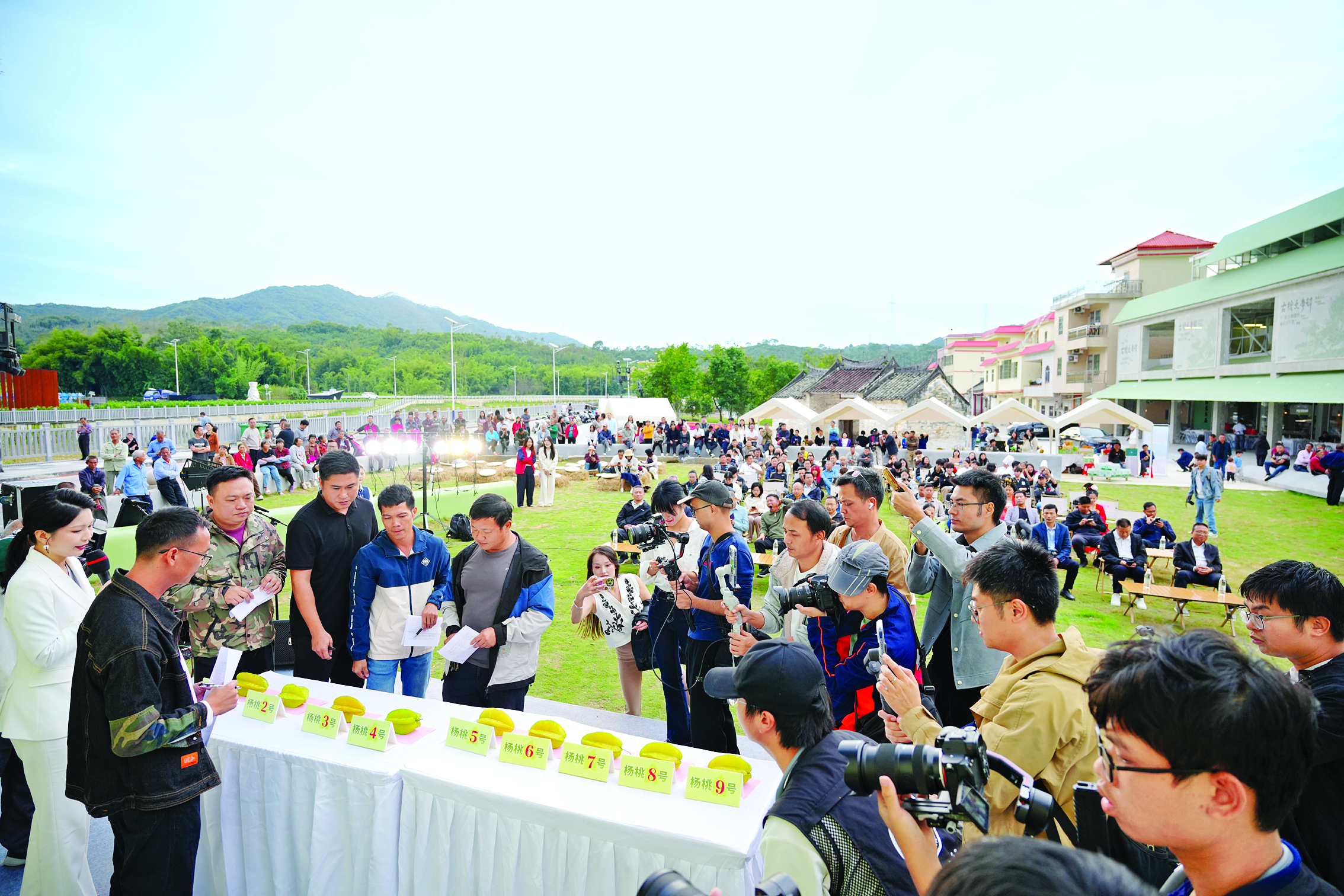     麻榨镇杨桃文化节现场。