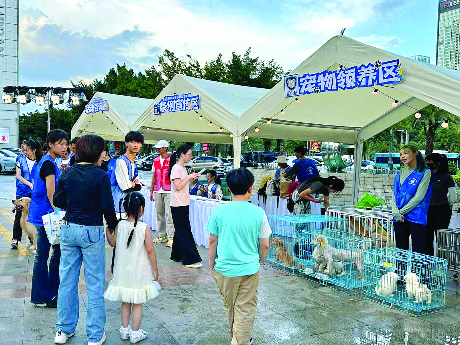     文明养犬宣传结合宠物领养活动，帮狗狗找新家。