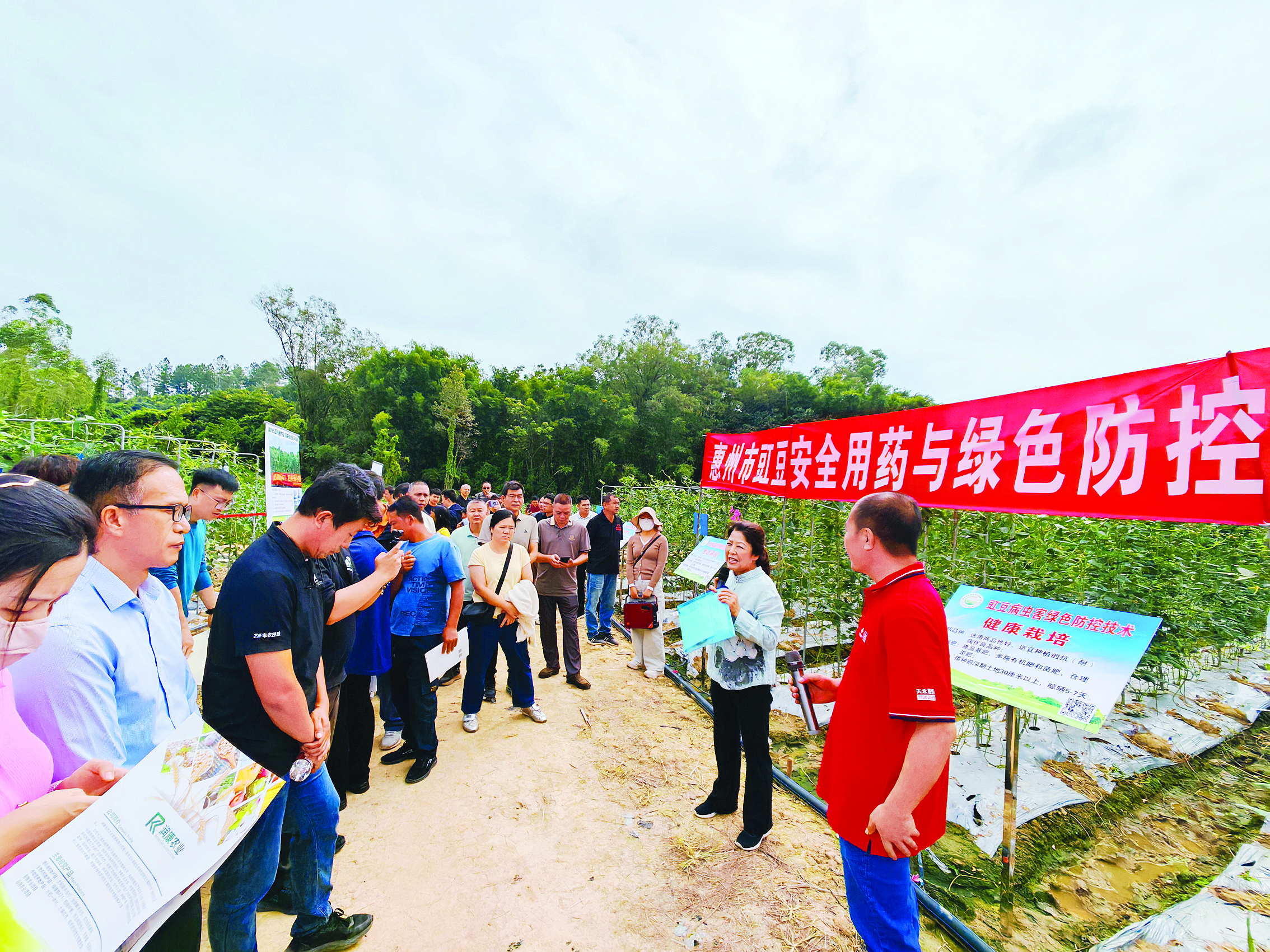     种植户通过实操学习豇豆安全用药和绿色防控技术。