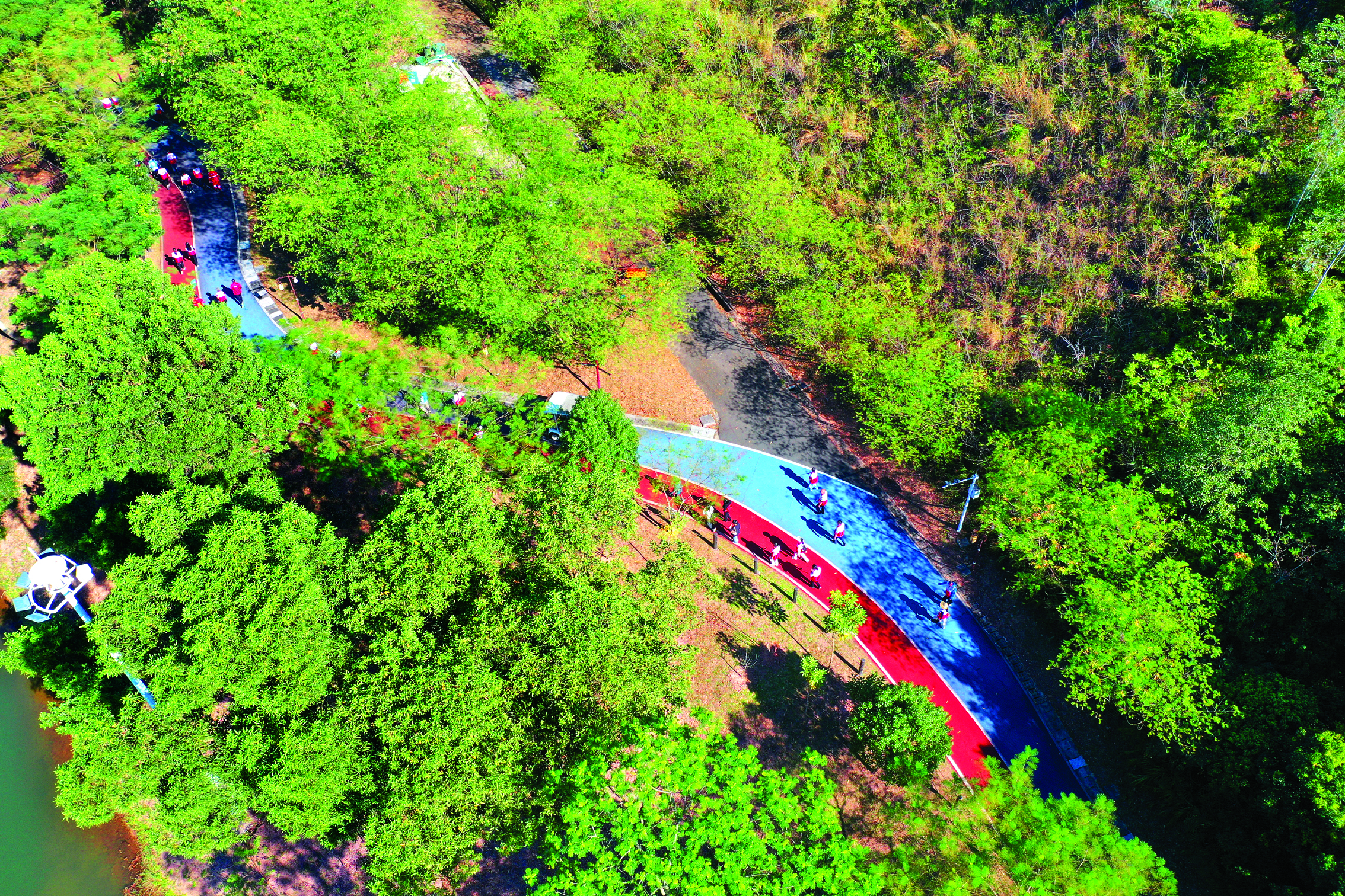     参与者将绿道当成践行环保的“实景课堂”。惠州日报记者朱金赞 摄