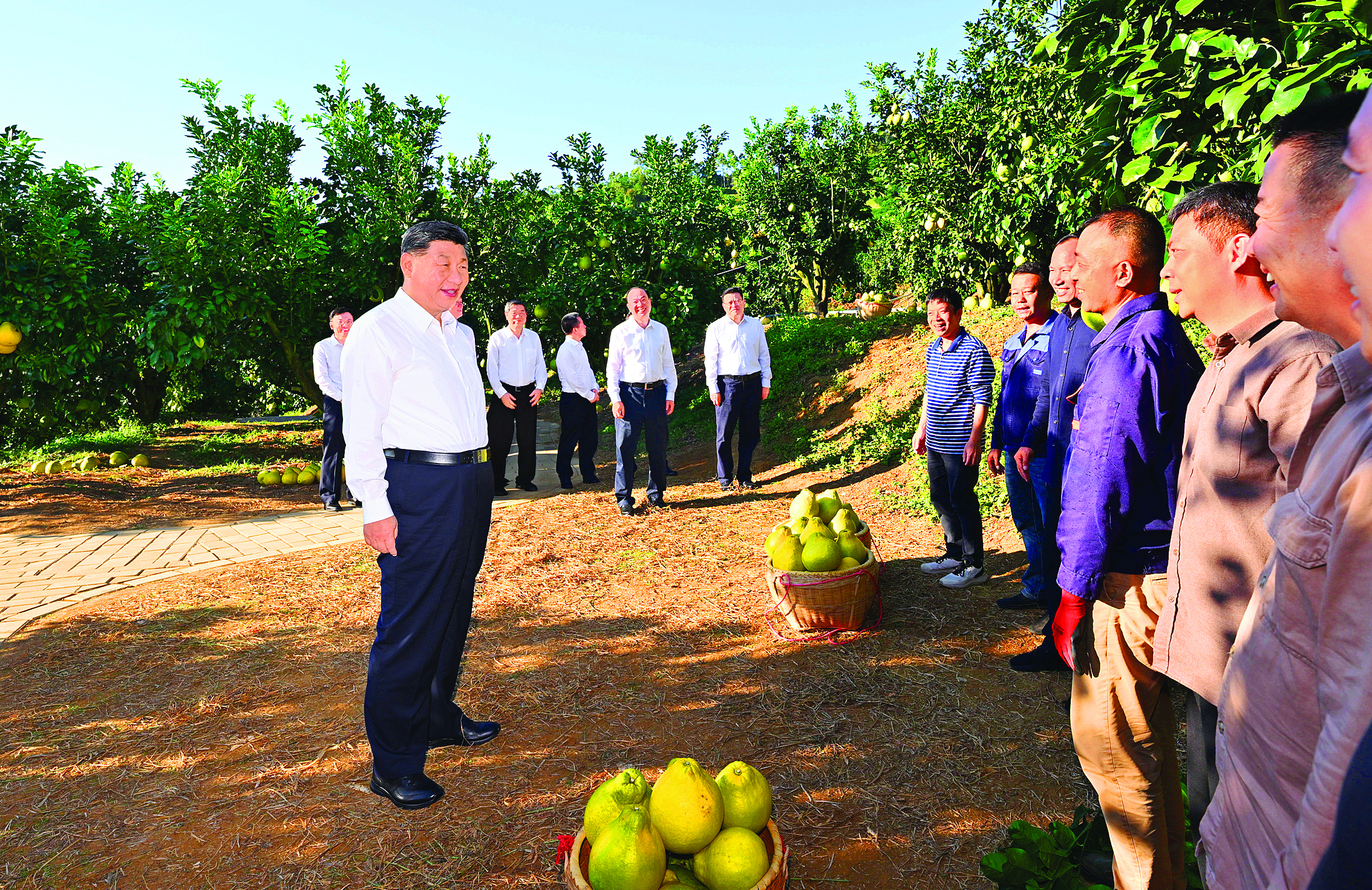     11月7日至8日，中共中央总书记、国家主席、中央军委主席习近平在广东考察。这是7日下午，习近平在梅州市梅县区雁洋镇南福金柚种植基地考察时，同果农和农技人员亲切交流。新华社发