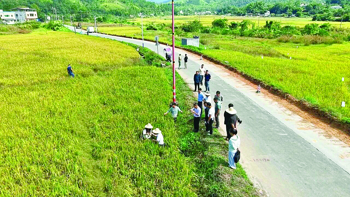     农技人员指导农户科学布设诱捕器。    惠州日报记者蔡伟健 通讯员蔡金容 李海澄 摄