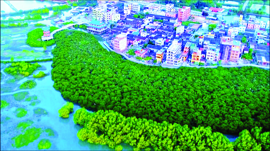     红海湾百鹭齐飞。惠州市生态环境局供图