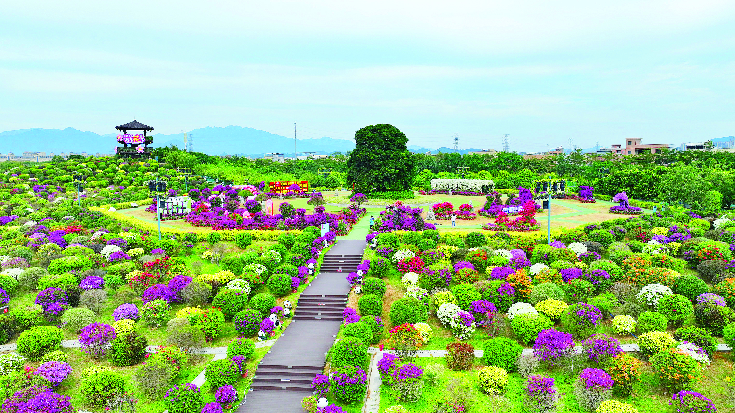     新人登记当天可以凭结婚证进入千花洲景区。本组图片 惠州日报记者张艺明 摄