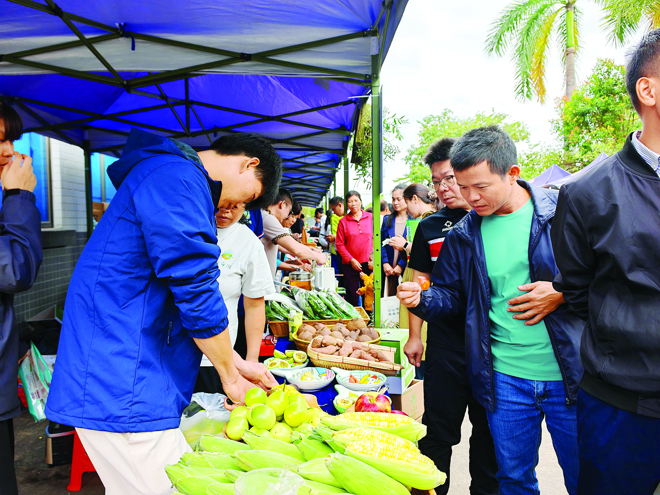     2025年惠州农作物新品种新技术展示会现场。惠州日报记者陈春惠 摄