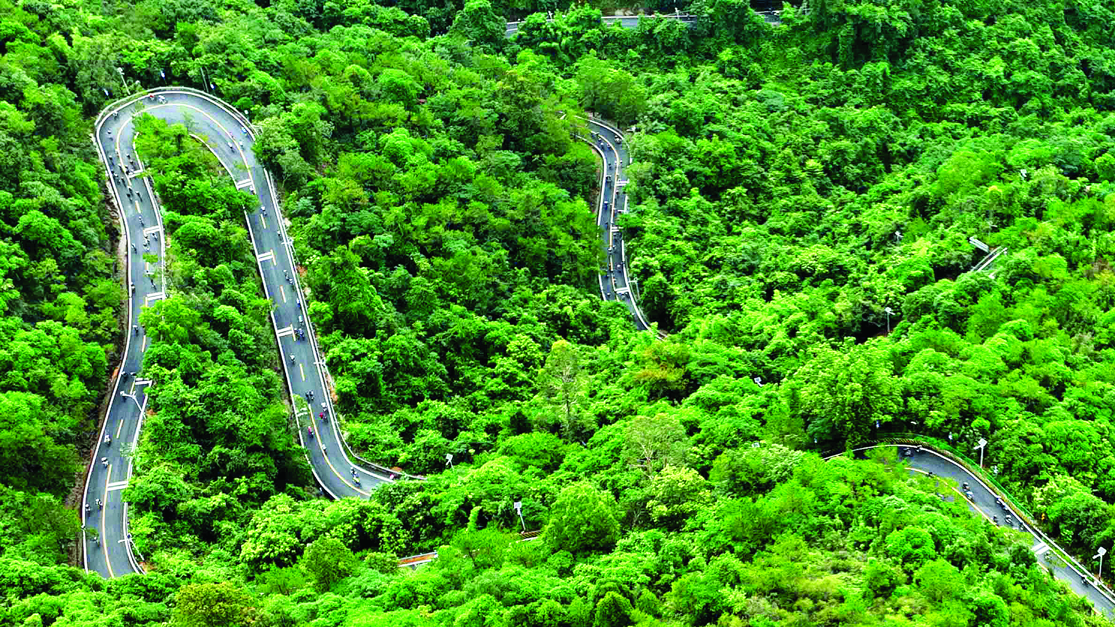     骑友在218最美旅游公路上骑行。惠州日报记者李松权 摄
