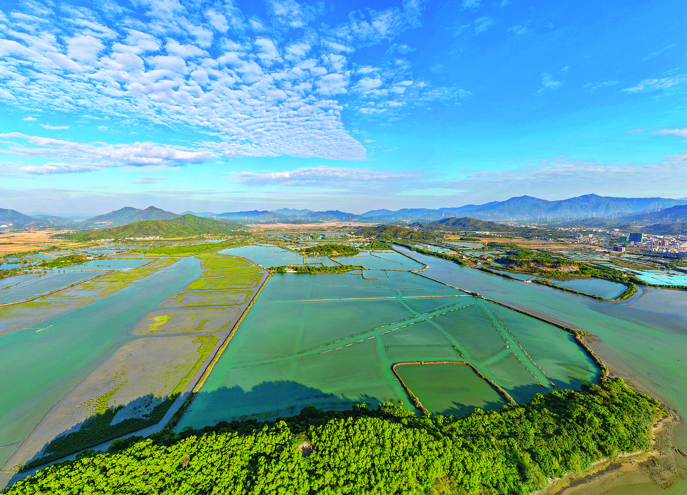     稔山镇临海养殖业。