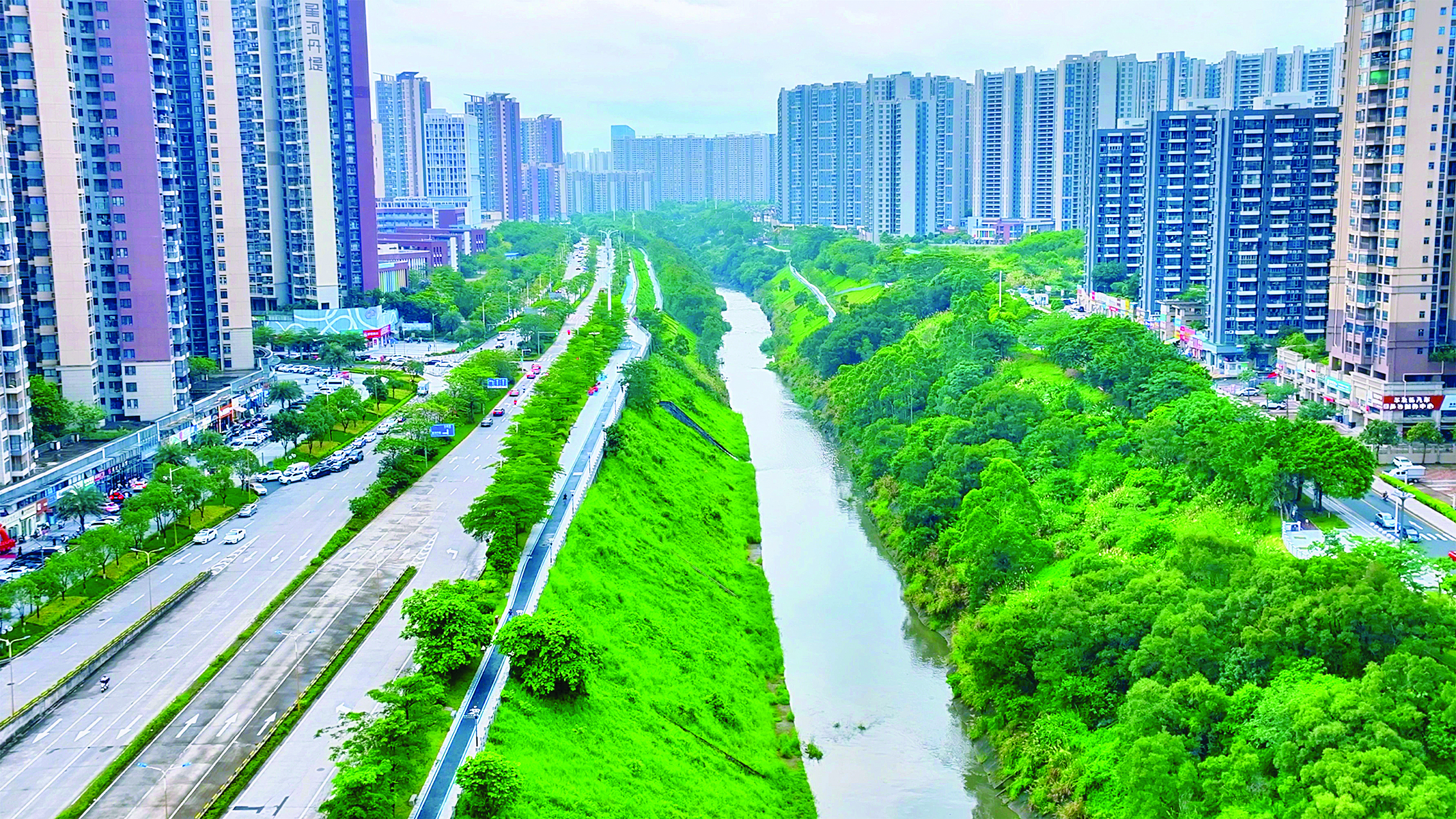     大亚湾淡澳河生态廊道。