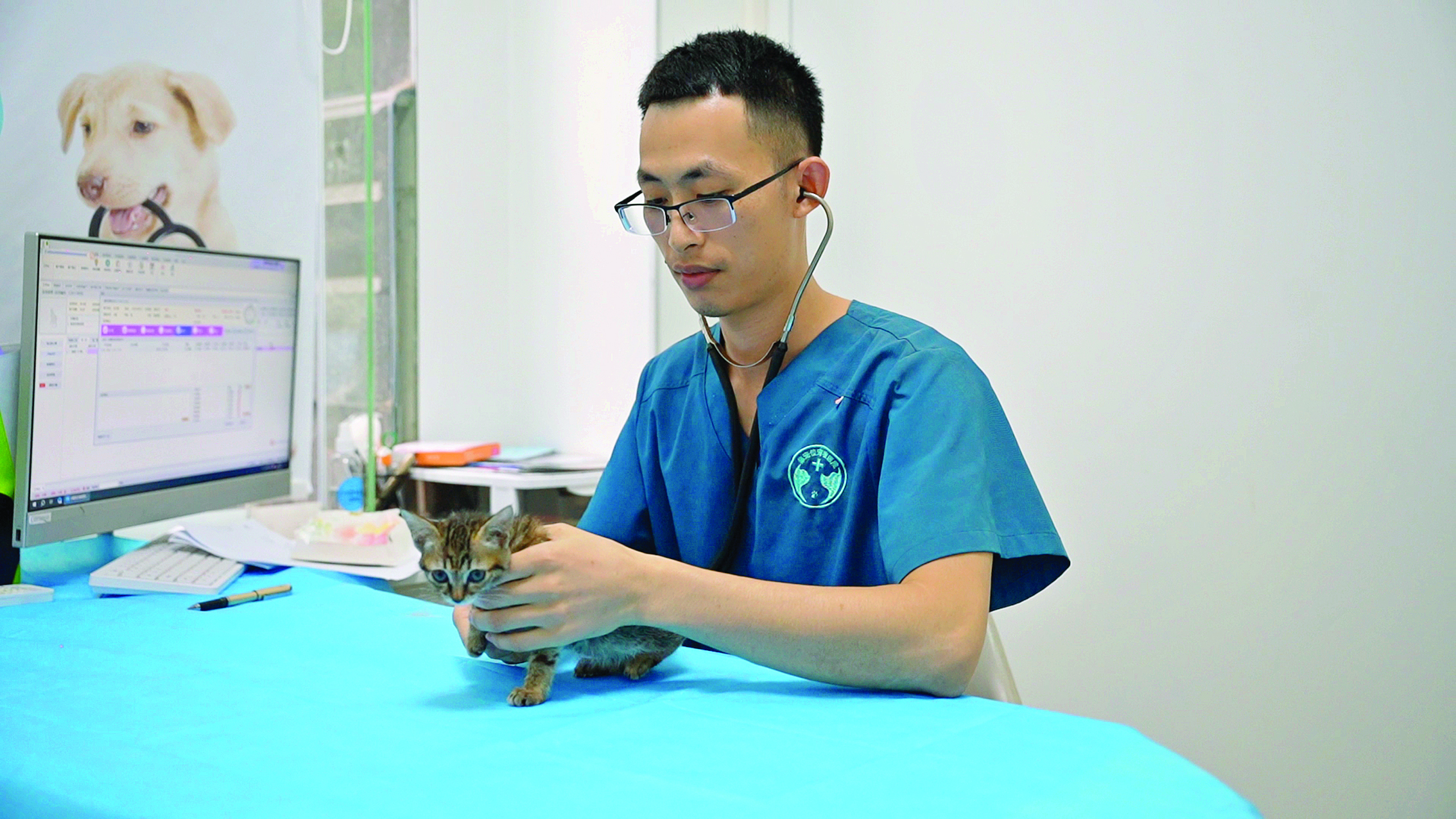     王文思为流浪猫做检查。惠州日报记者黄旭新 曾静妍 摄