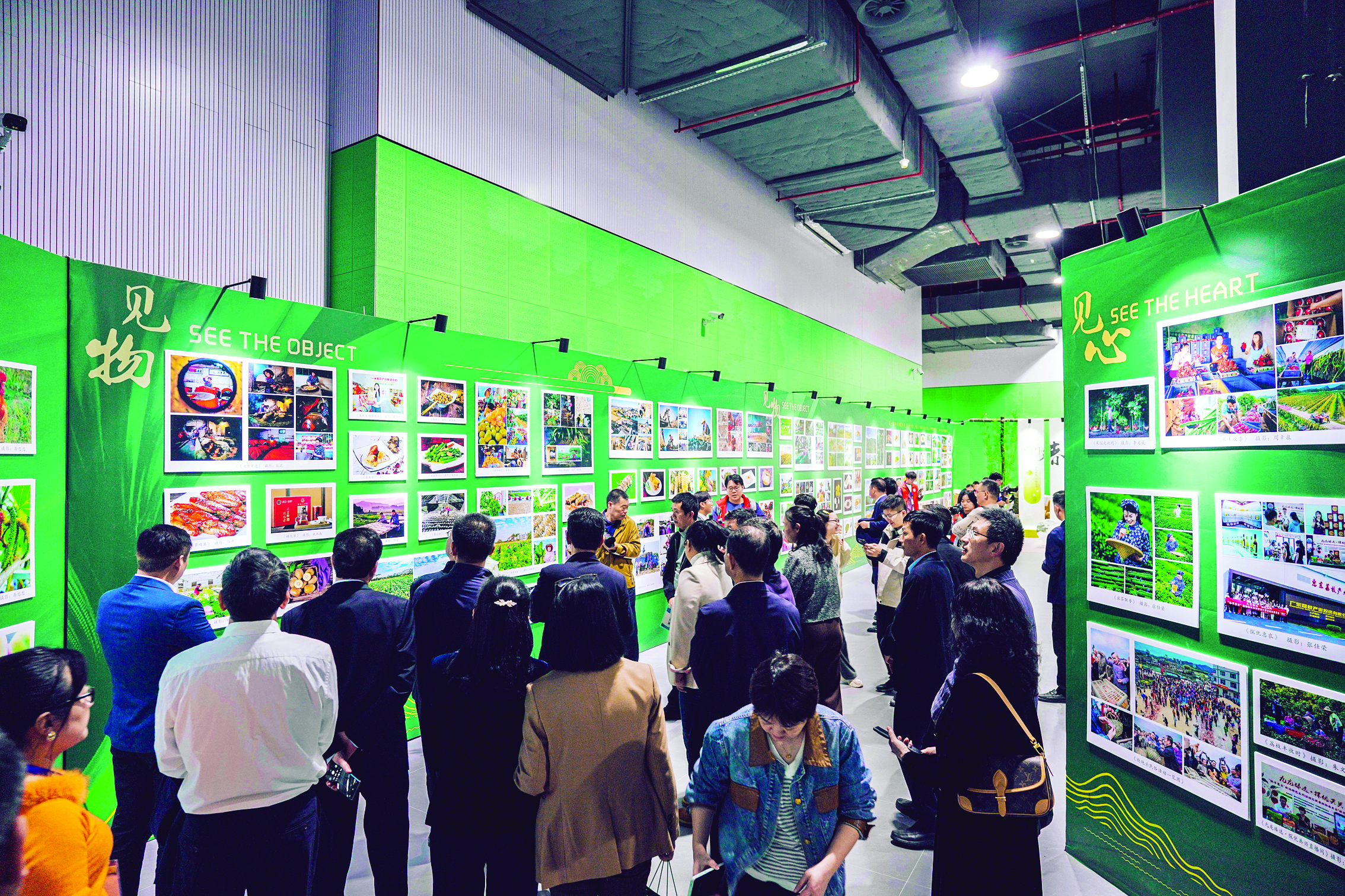     摄影展现场。惠州日报记者王建桥 周楠 摄