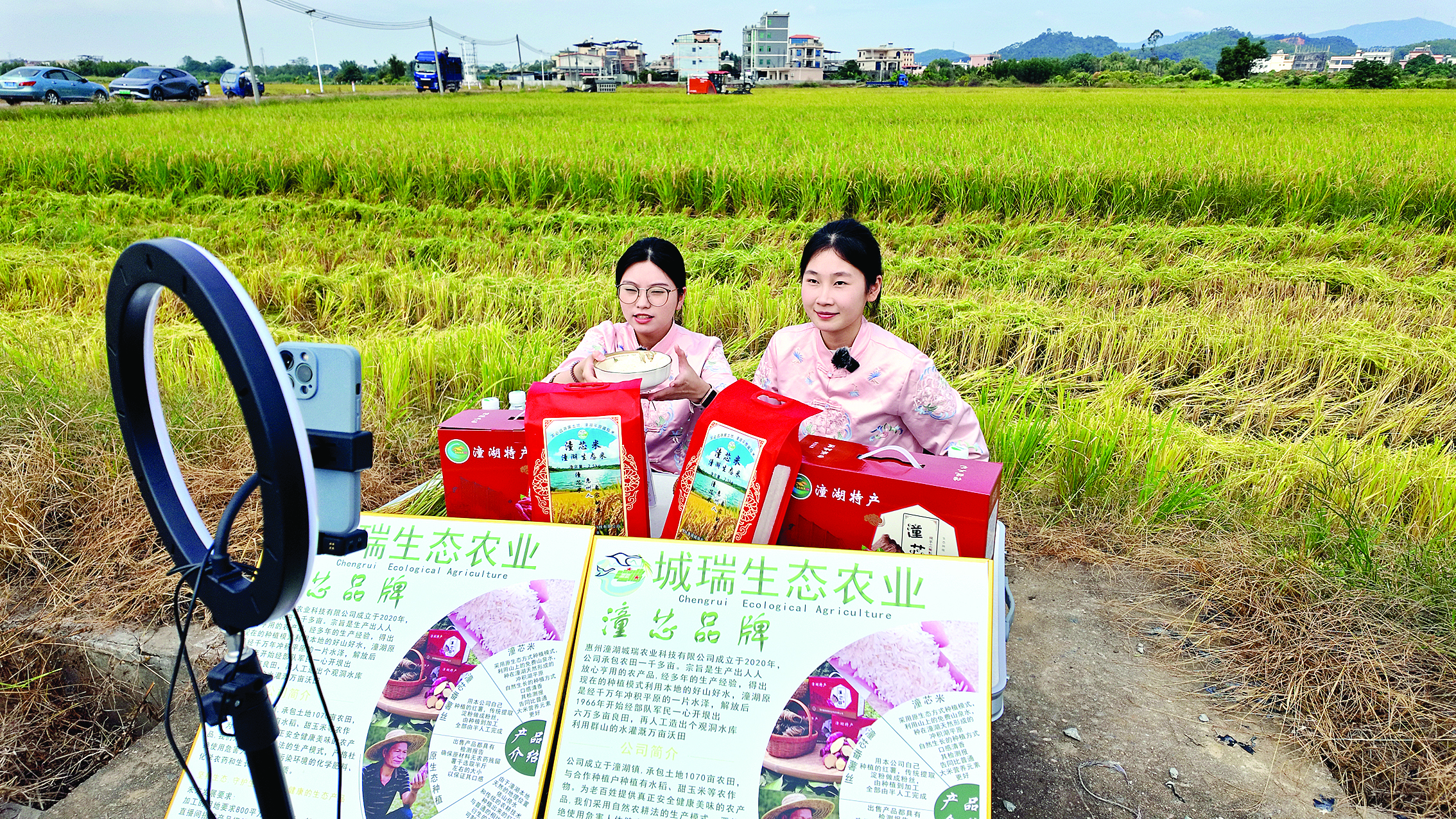     惠州城市职业学院的学生在稻田边直播。
