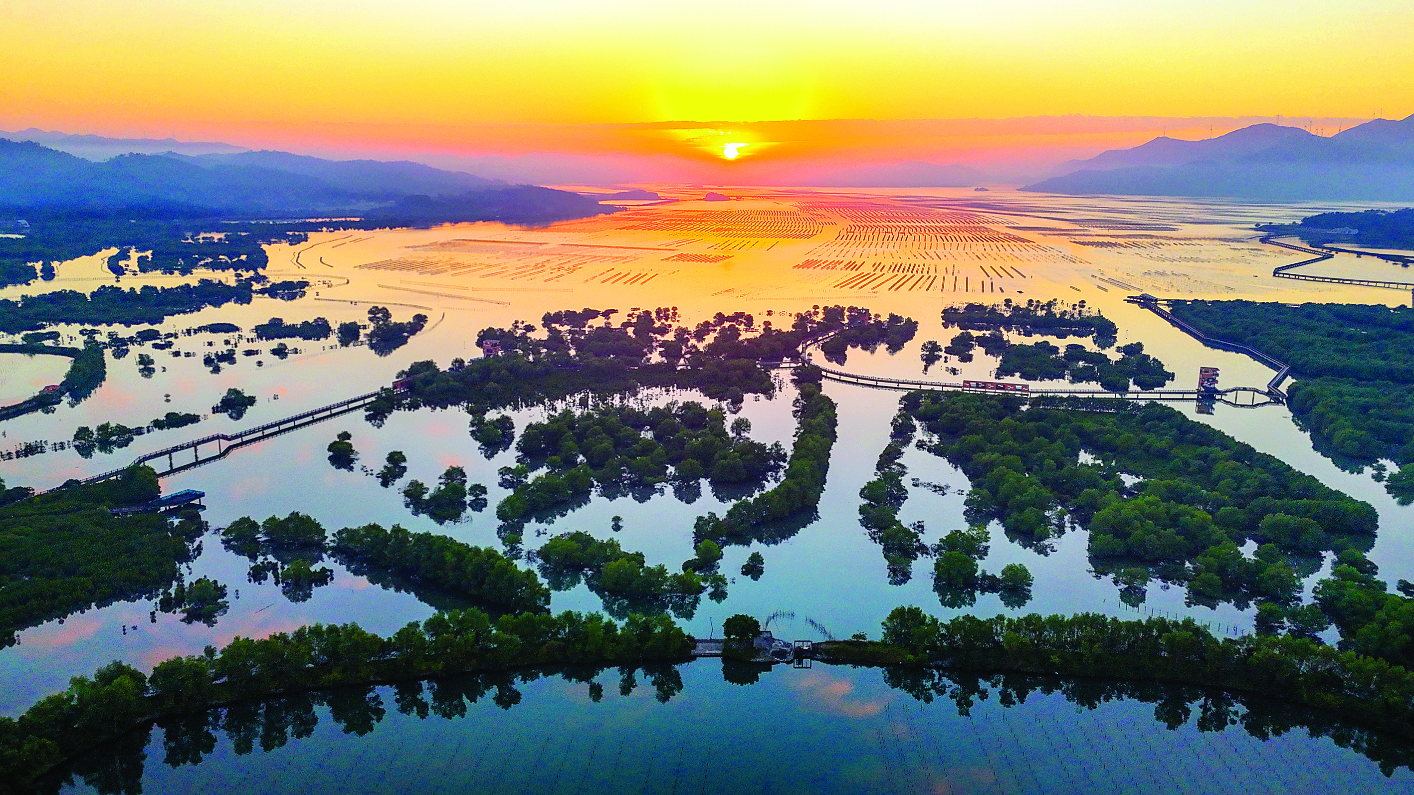 <p>    好招楼红树林湿地公园风光旖旎。</p>