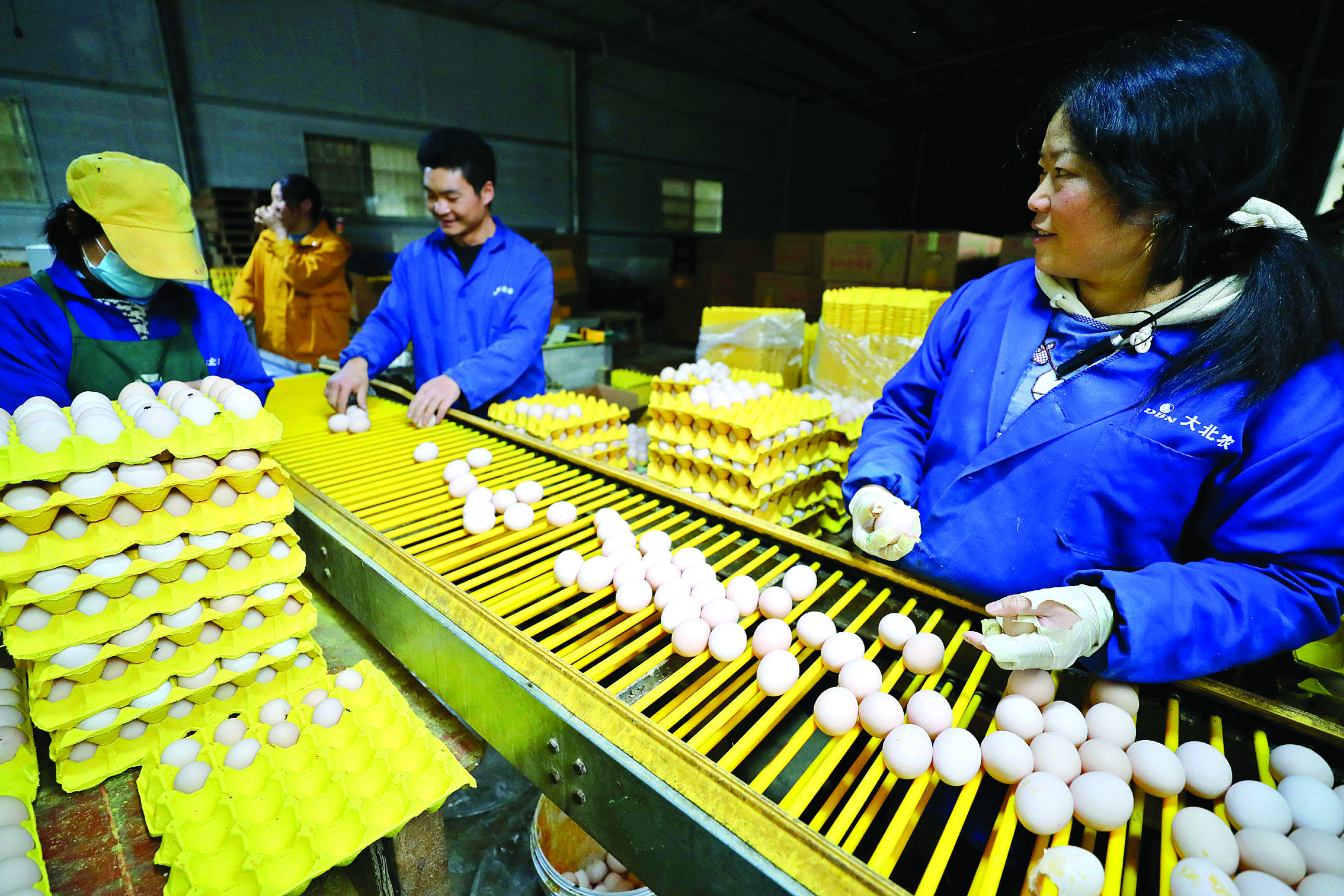     天元农业发展有限公司蛋鸡养殖基地。