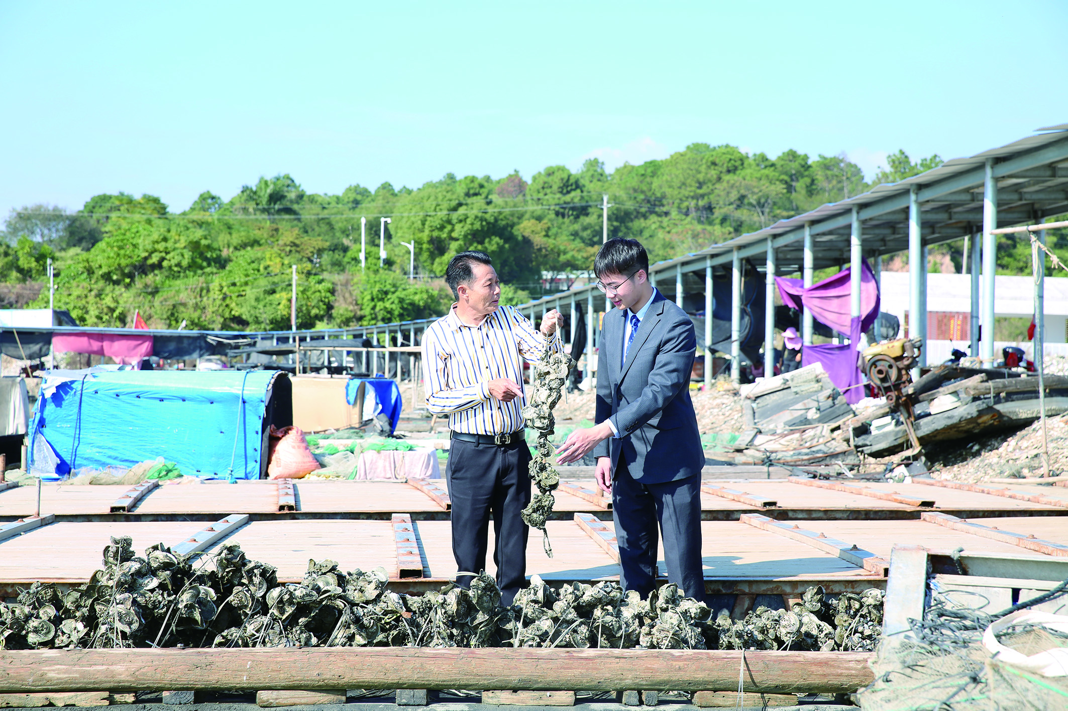     惠州农行工作人员多次深入蚝田、走访农户。本版图片由惠州农行提供