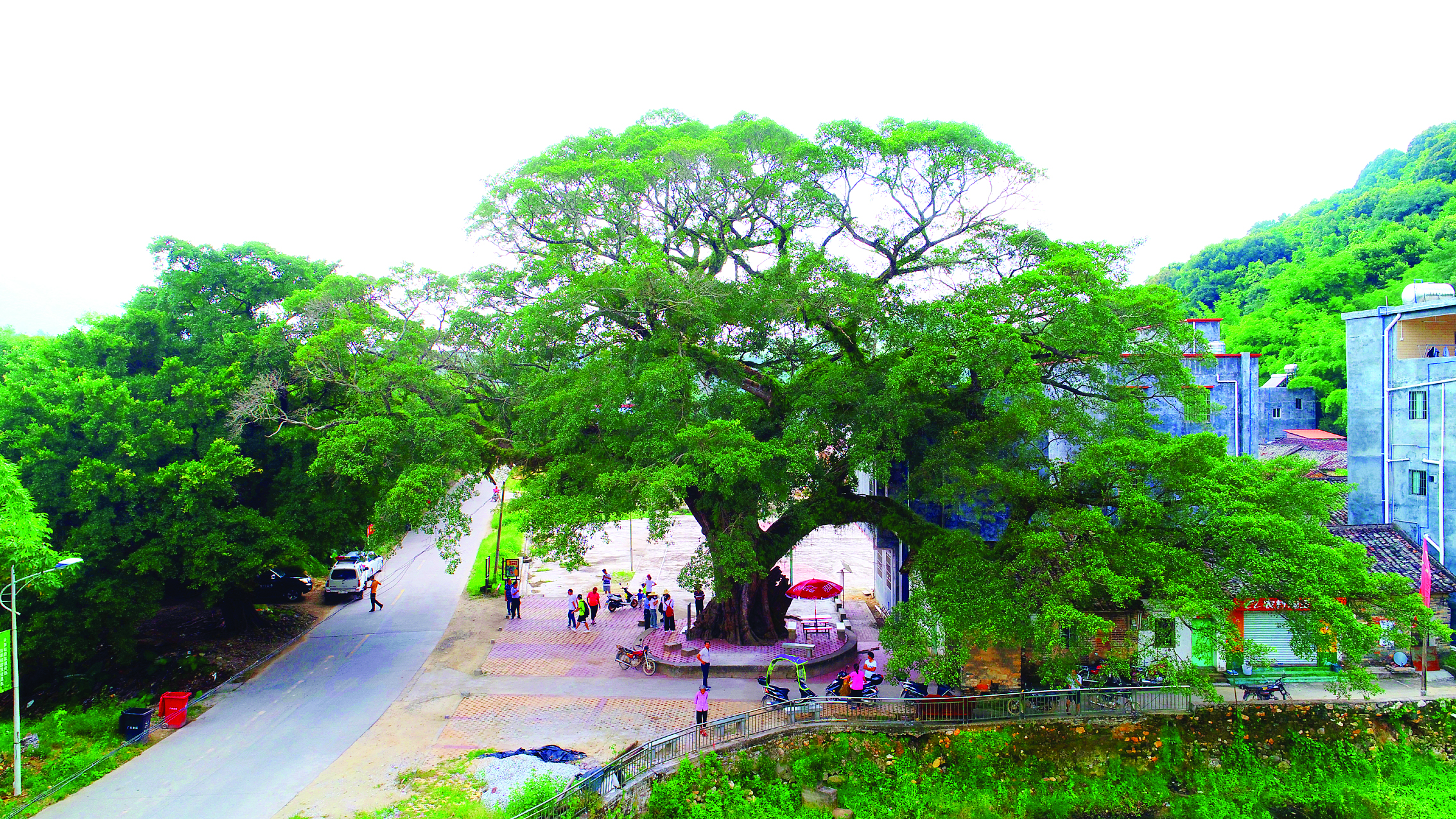     麻榨镇中心村旧貌。