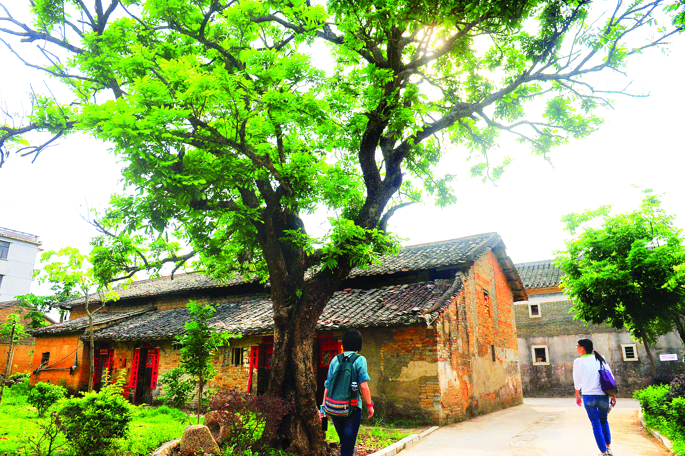     横沥镇墨园村旧貌。