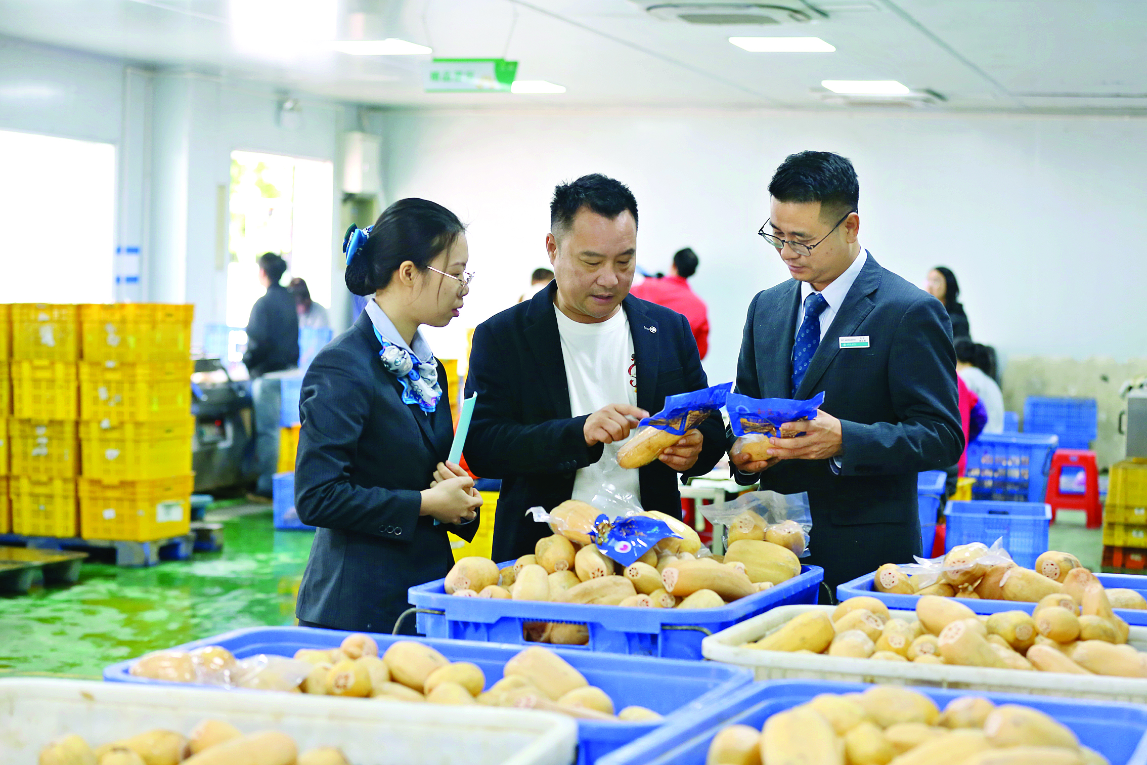 <p>    李登金向惠州农行客户经理介绍特色莲藕产品。  本组图片惠州农行提供</p>