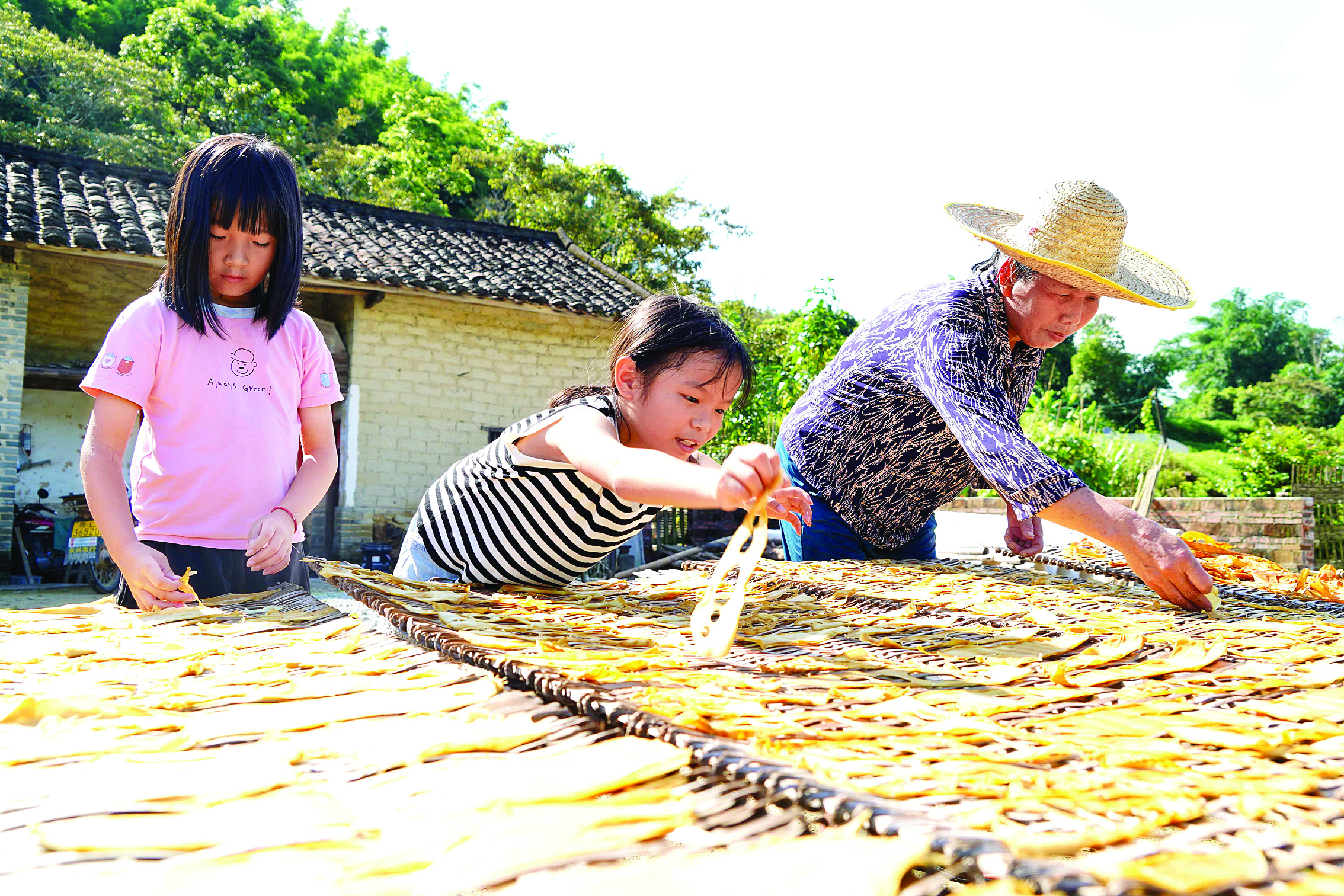     龙门县龙华镇西溪村村民在晒制西溪笋。