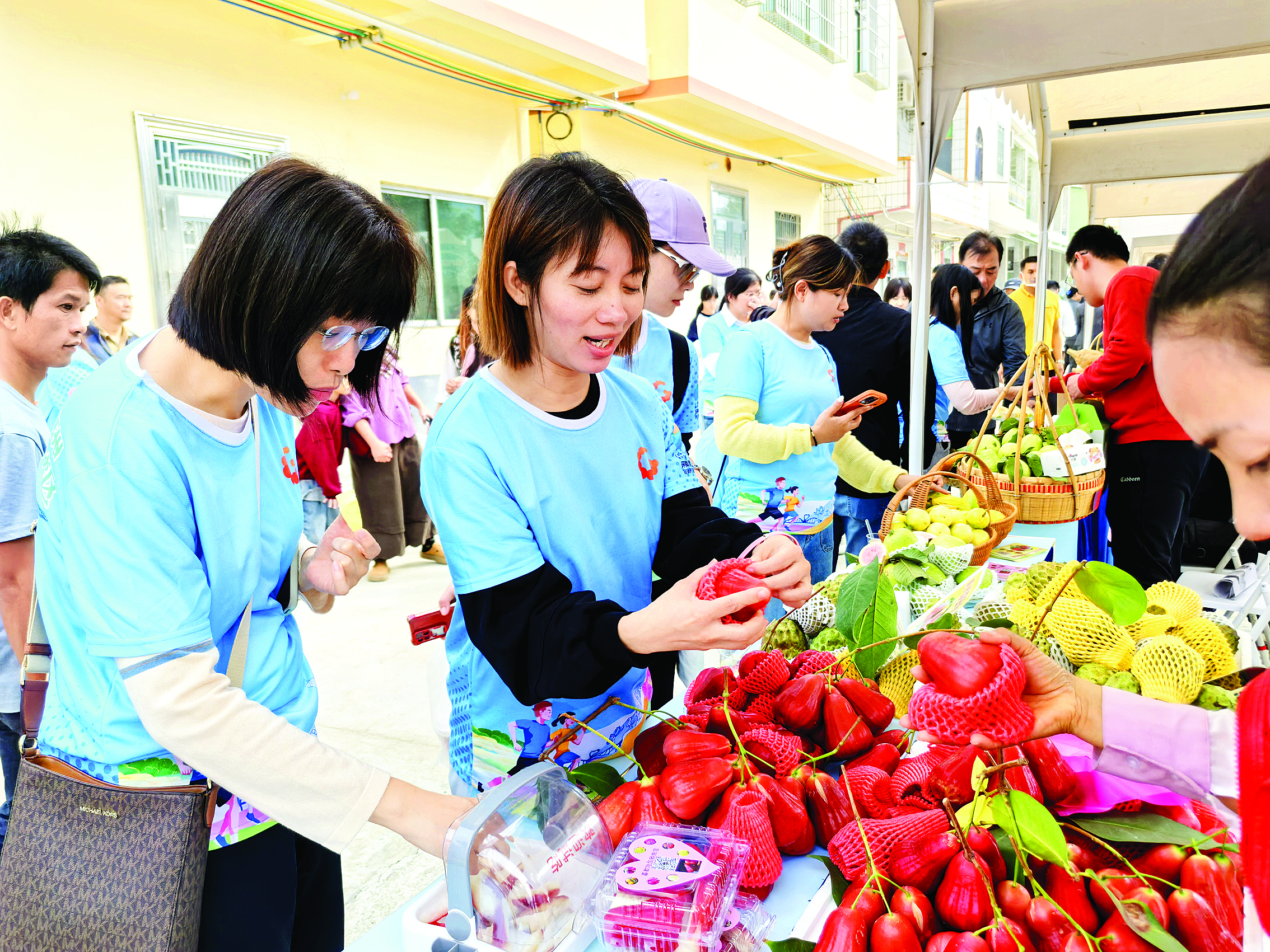     青年们在农优产品展区选购产品。