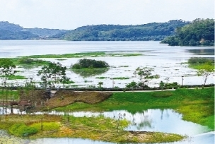     惠州博罗显岗水库。    惠州日报记者杨建业 摄