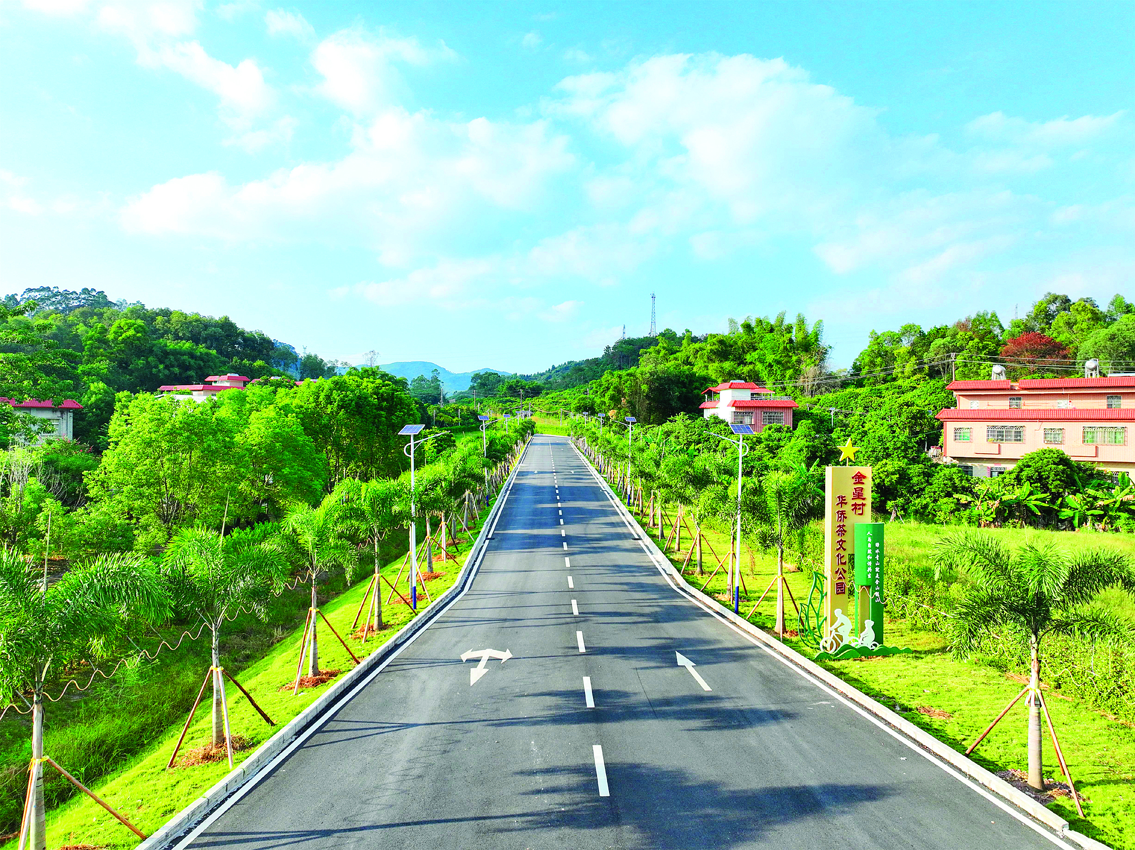     “最美农村路”金星村金星路。