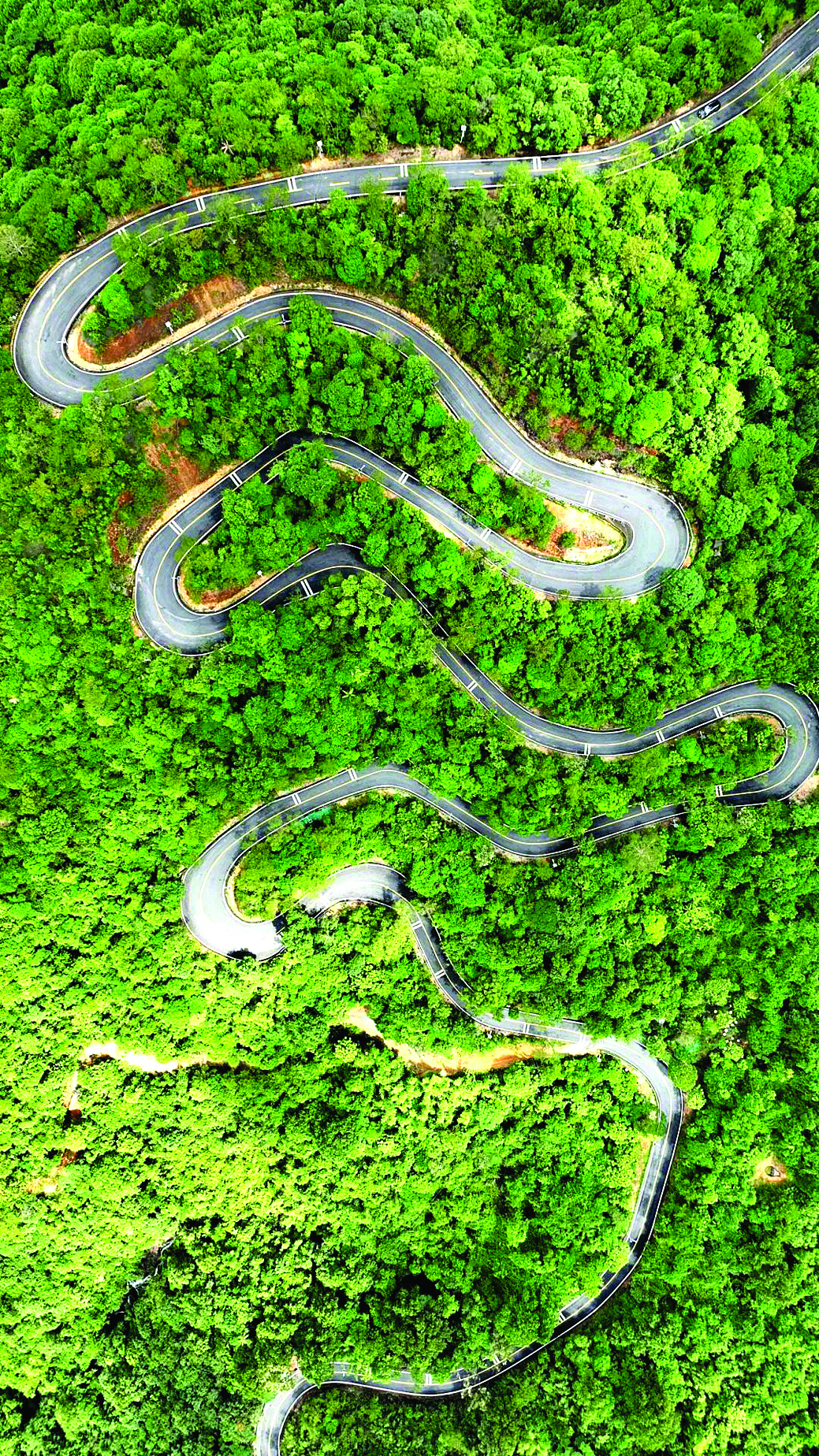     218最美旅游公路打通了南昆山与罗浮山的“文旅大动脉”。