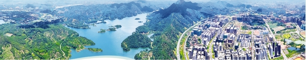     现代化产业园区与生态湿地和谐共生，生动诠释了仲恺以城乡融合推动全域蝶变的“百千万工程”实践。