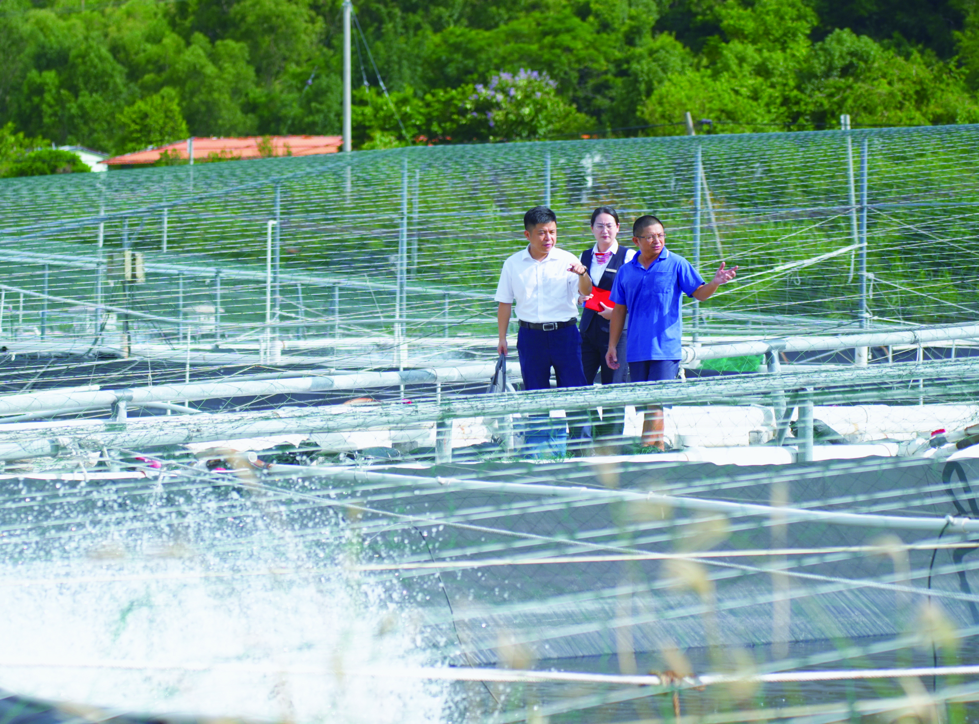     惠州中行工作人员深入渔业企业开展调研。 本版图片 惠州中行提供