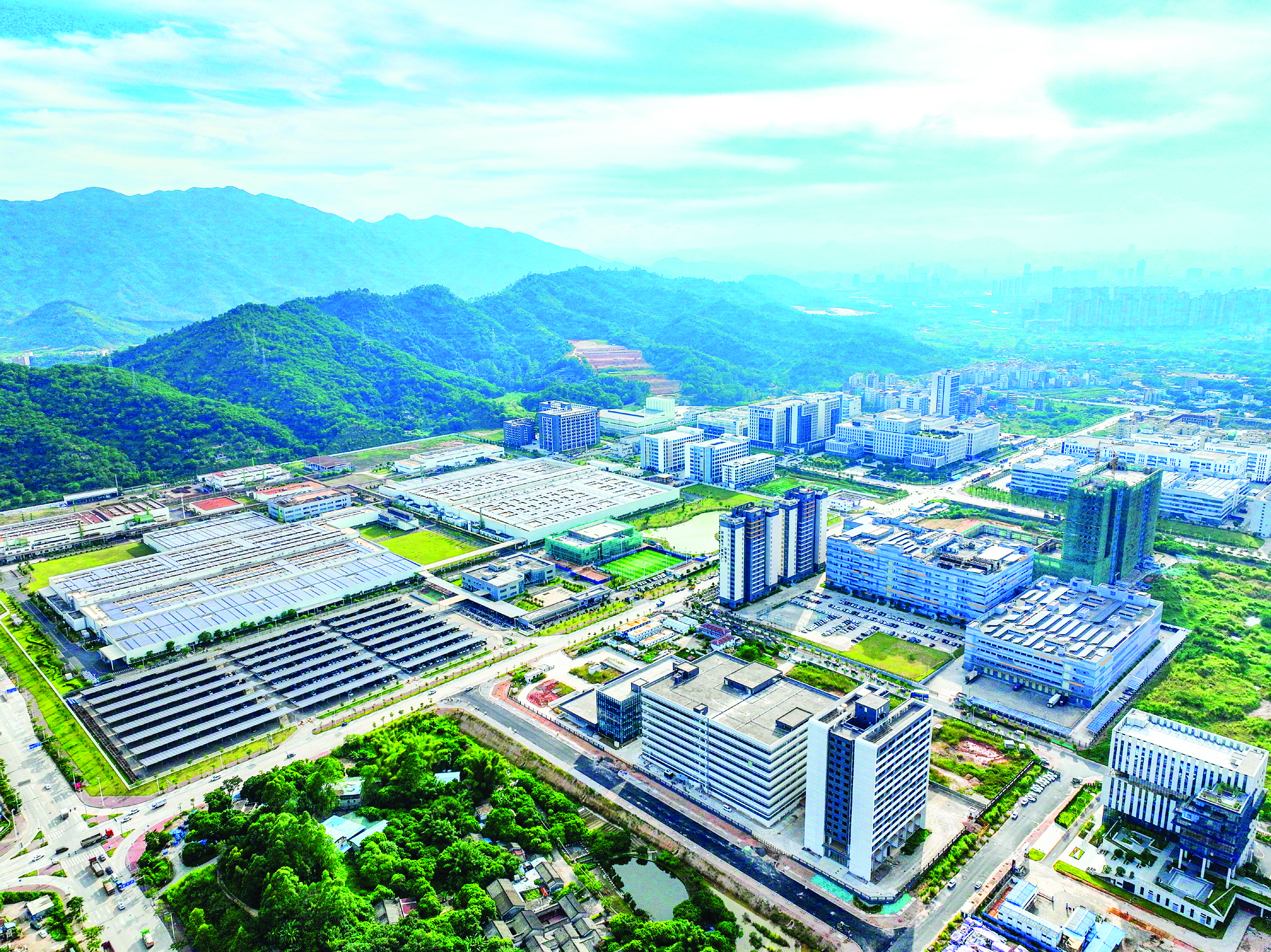     大亚湾民营经济规模稳步增长。惠州日报记者黄旭新 摄