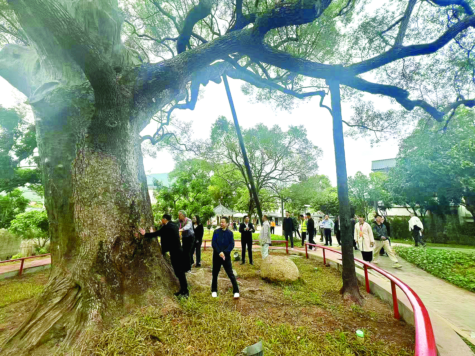     市、区人大代表视察“将军故里·红色客乡”美丽乡村走廊的重要节点古树公园。    惠州日报记者黄尉宏 摄