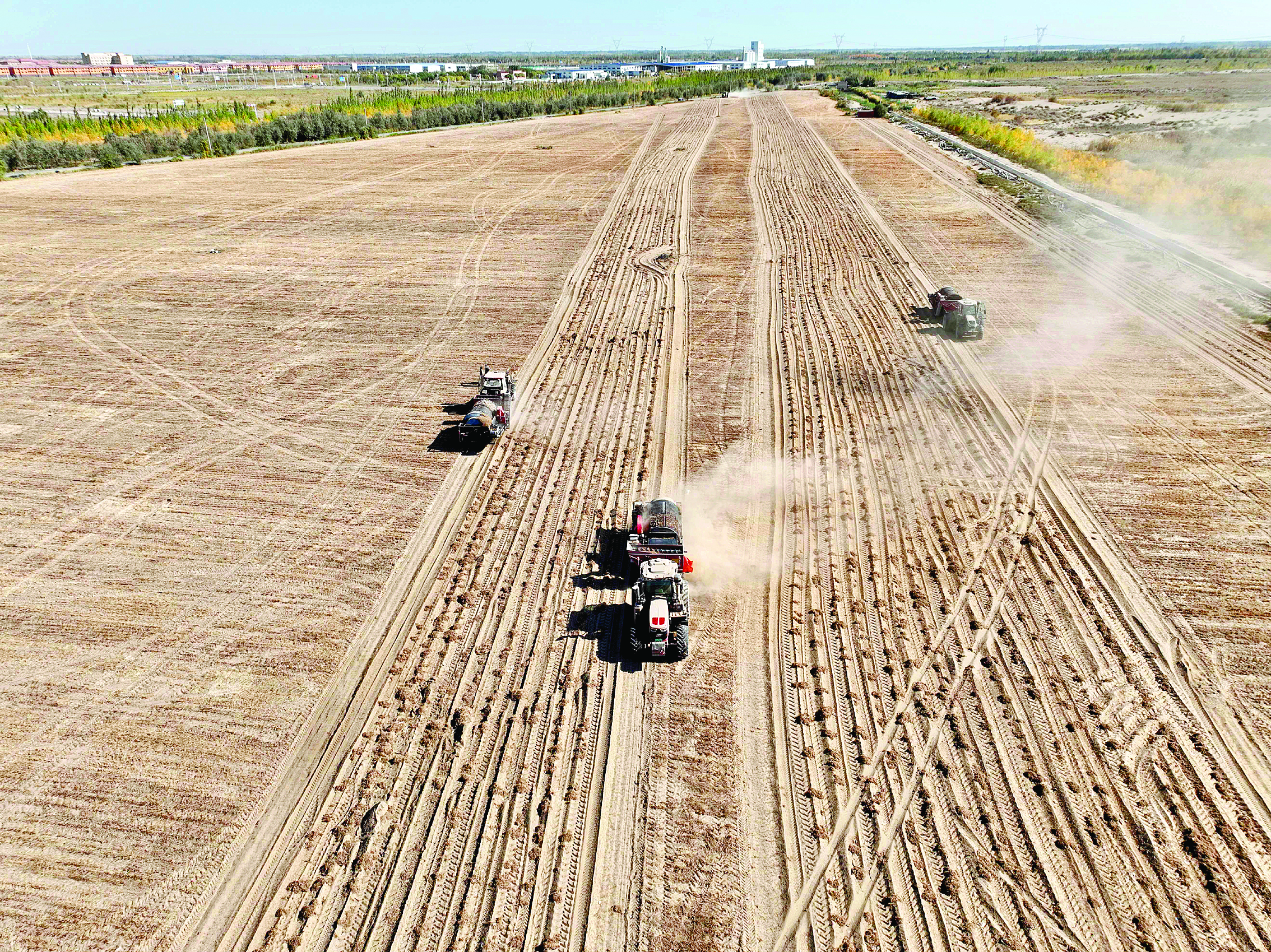     广袤的油莎豆地里，大型收割机来回穿梭，把一粒粒饱满圆润的“金豆豆”精准归仓。    惠州日报记者李松权 香金群 摄