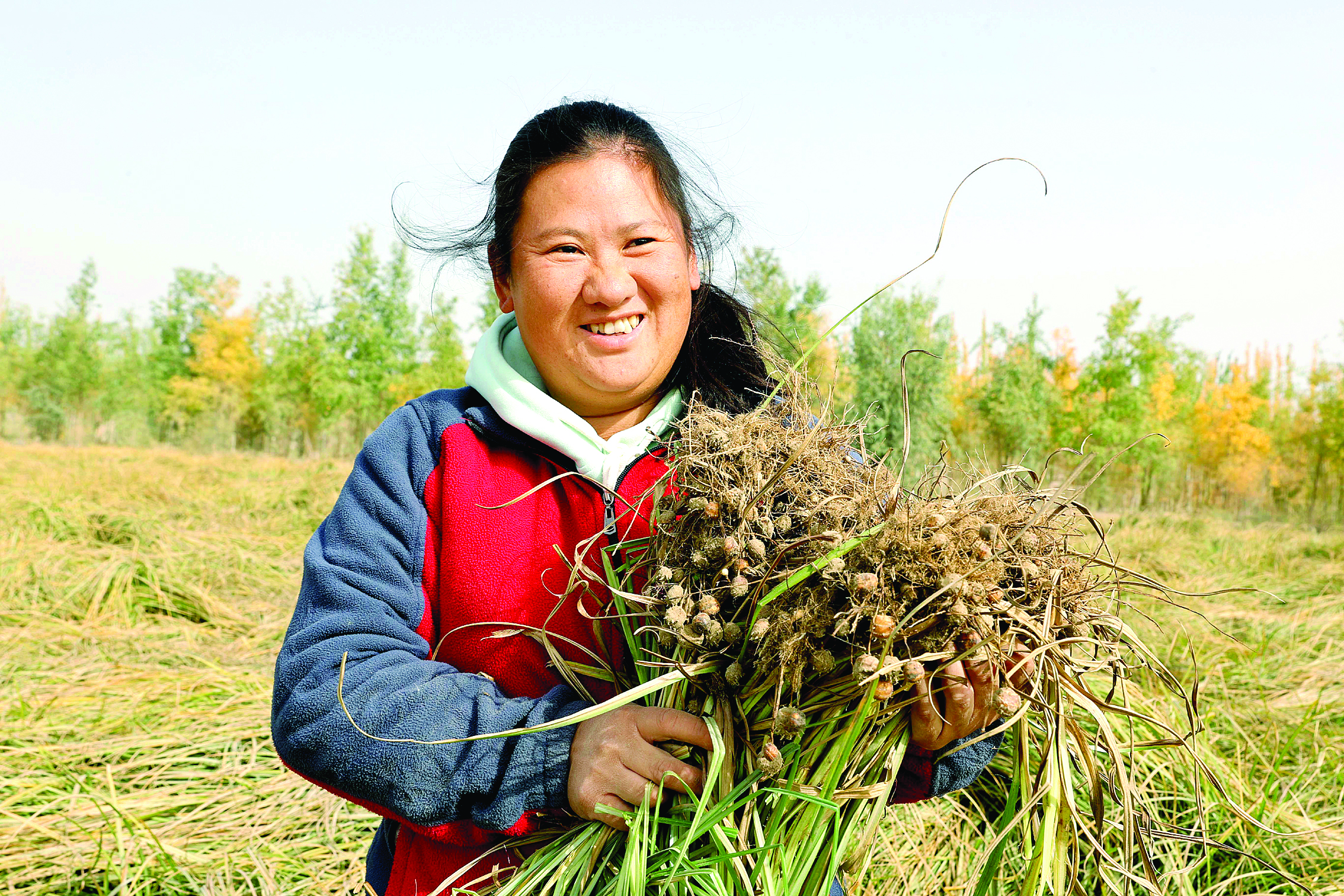     五十四团二连职工开心地展示丰收的油莎豆。